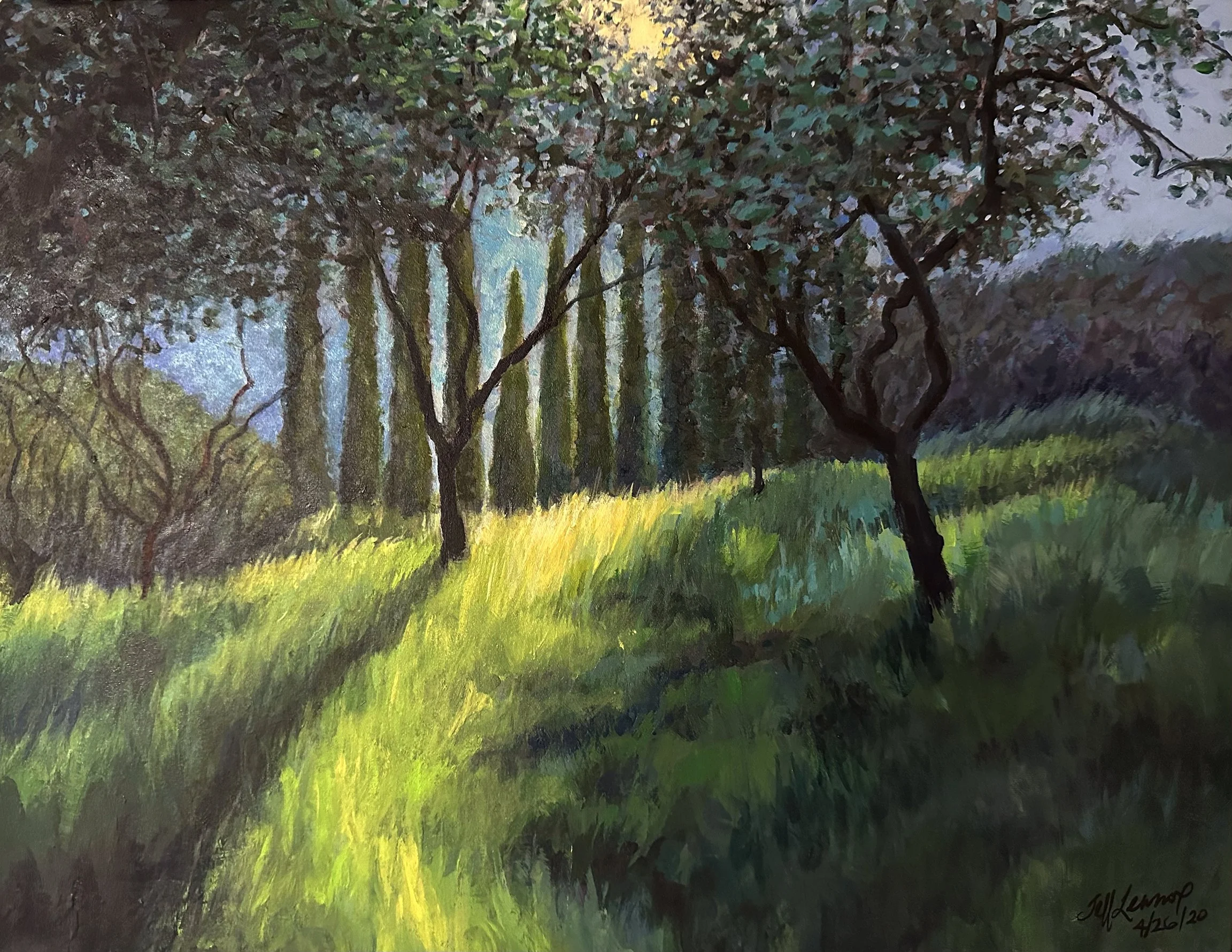 Olive Grove in Tuscany, 16” x 12” acrylic on canvas