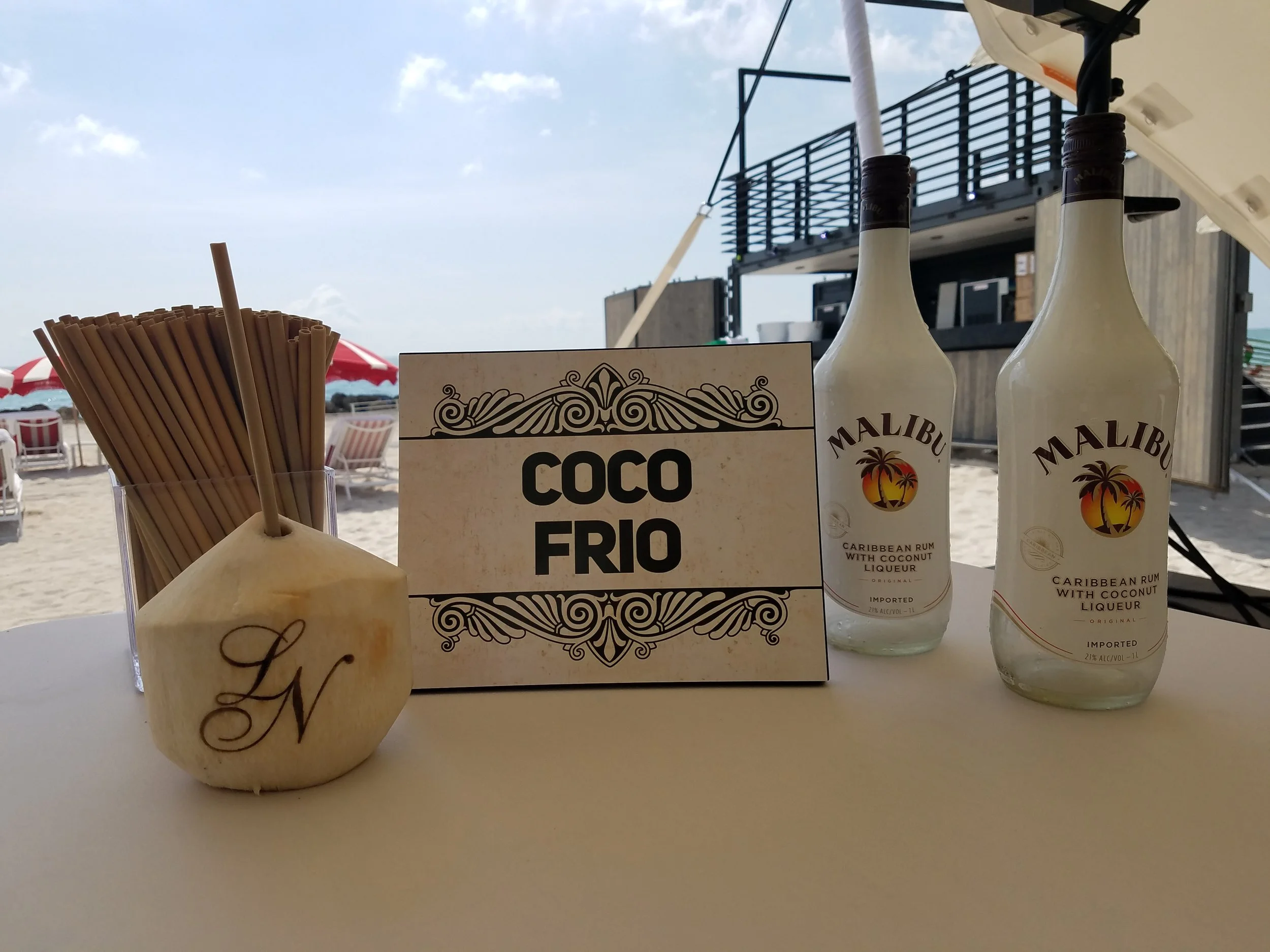 Coco Demo_FAENA beach.jpg