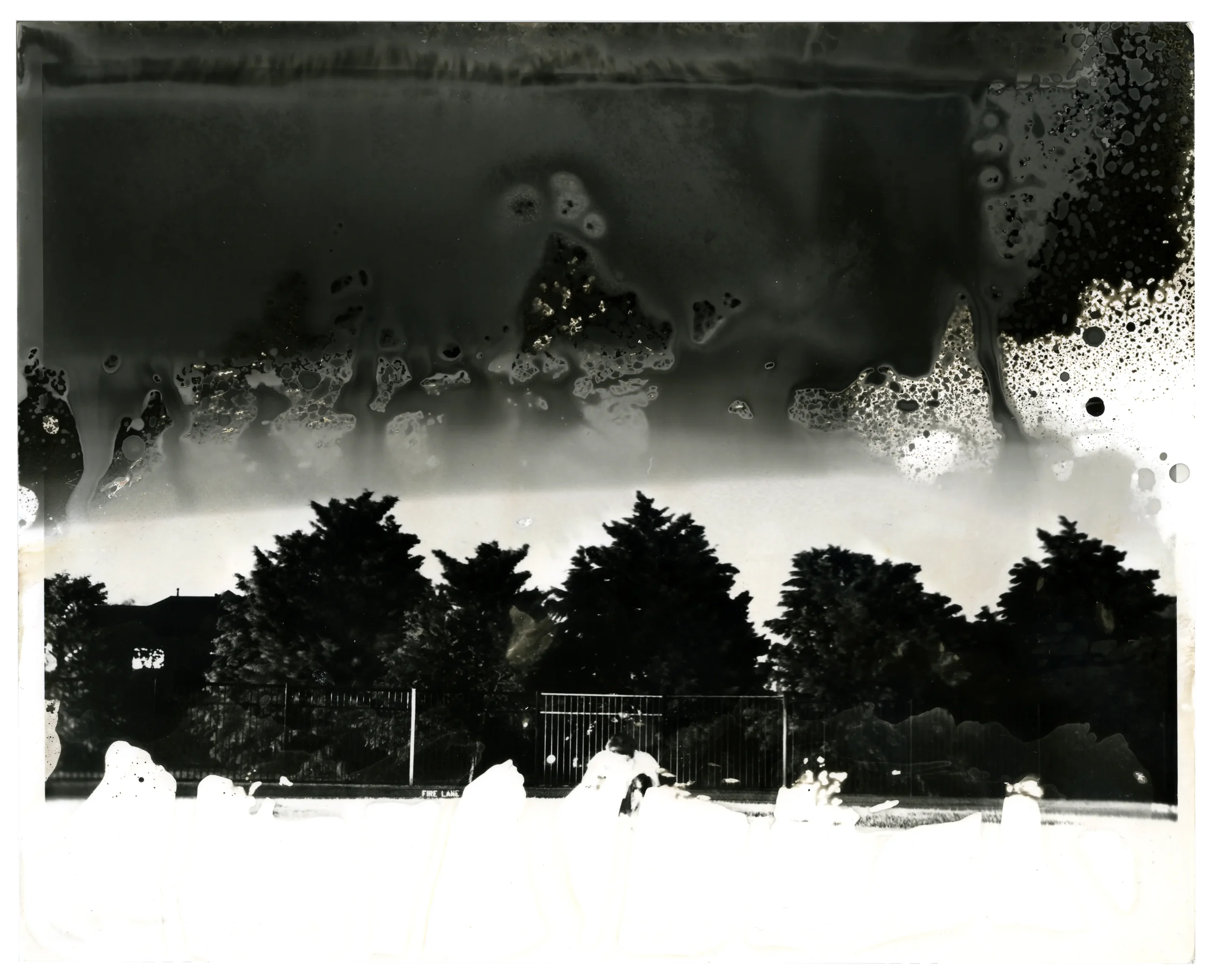 Splotchy black and white image of a night sky with dark trees