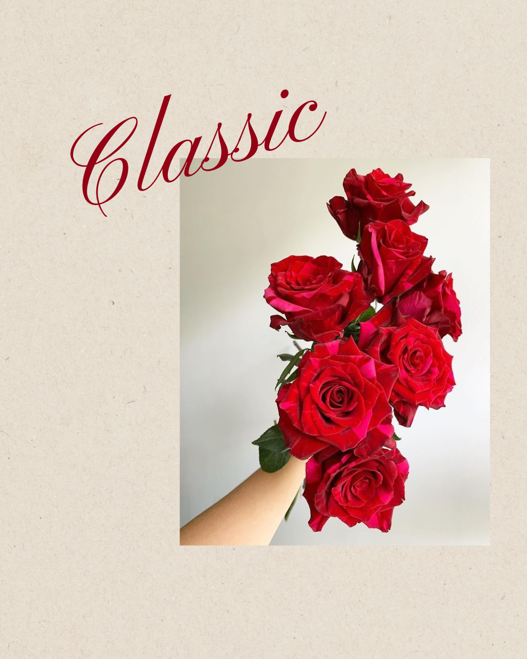 🤍 Classic - Dozen Premium Rose Wrap 🤍