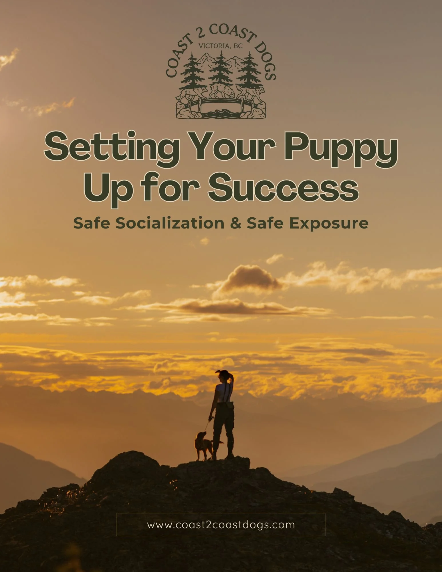 Puppy Socialization Guide
