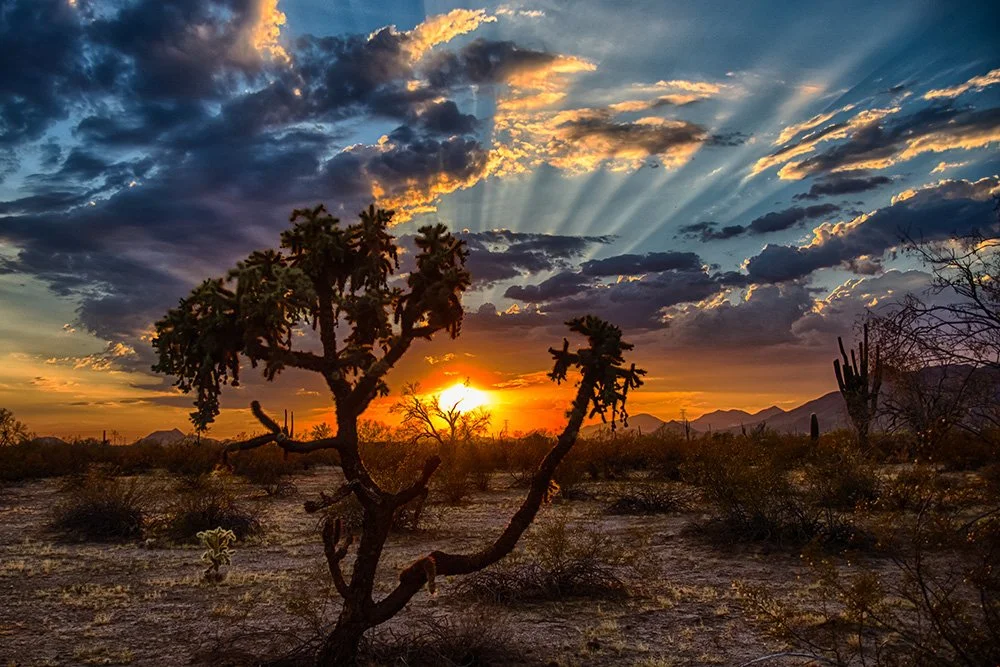 How to Size Your Off-Grid Solar System: Arizona Homeowner's Calculator Guide