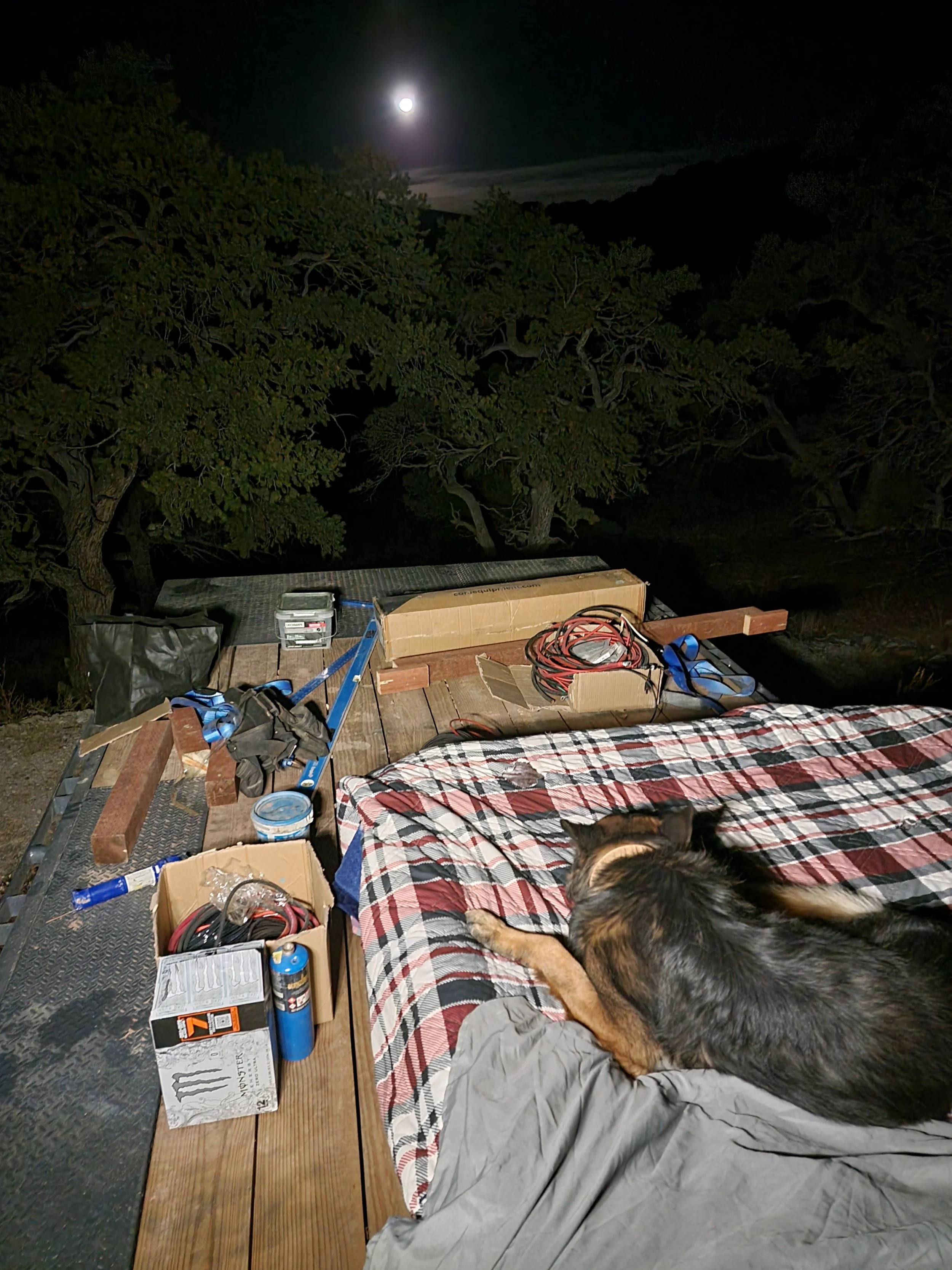 Nighttime outdoor scene on a wooden platform with a dog lying on a checkered blanket. The platform has various tools, a box, and a container. Trees and the moon are visible in the background.