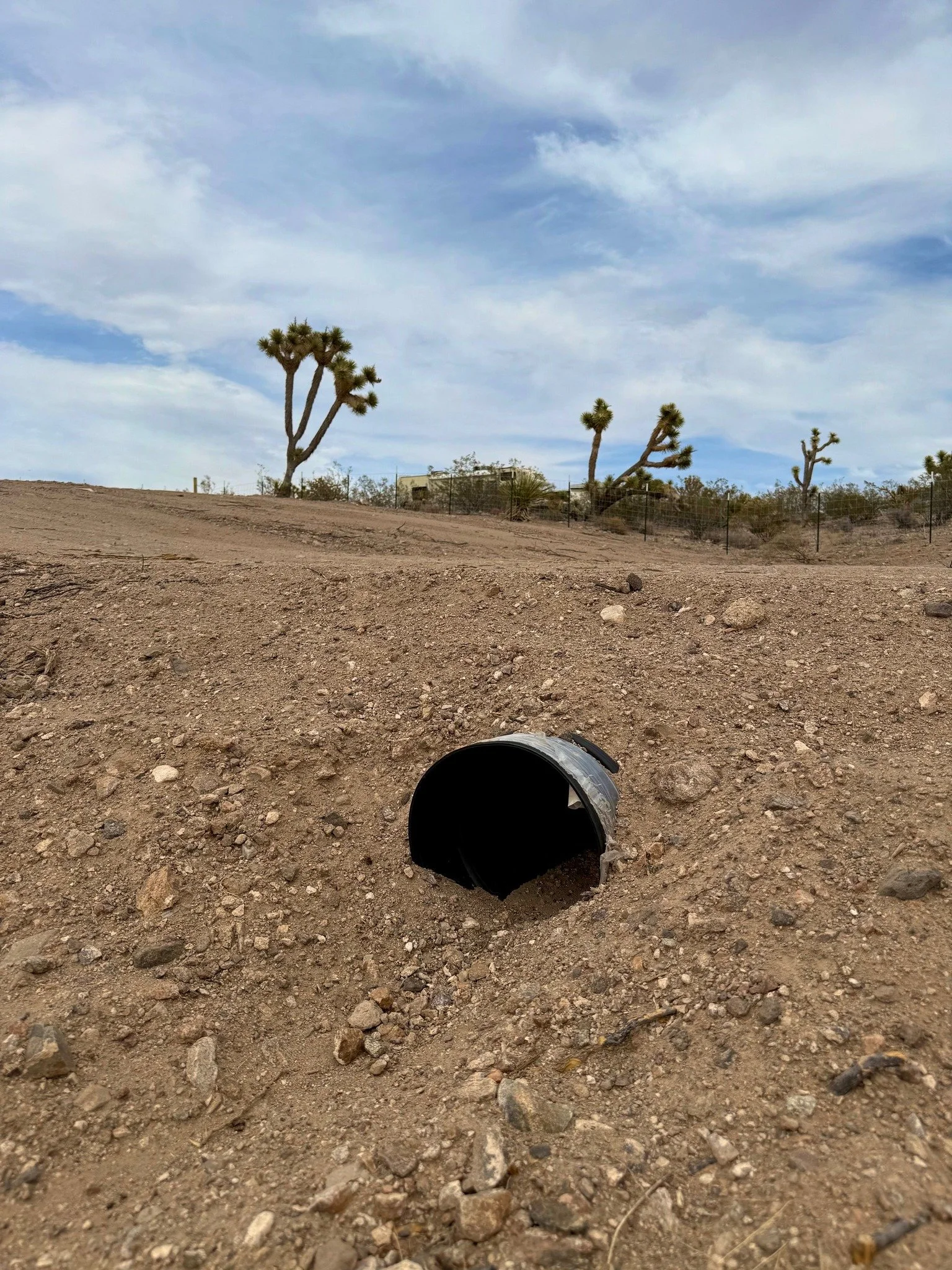 A black plastic pipe protruding from dry, rocky desert soil with Joshua trees and a blue sky with clouds in the background.