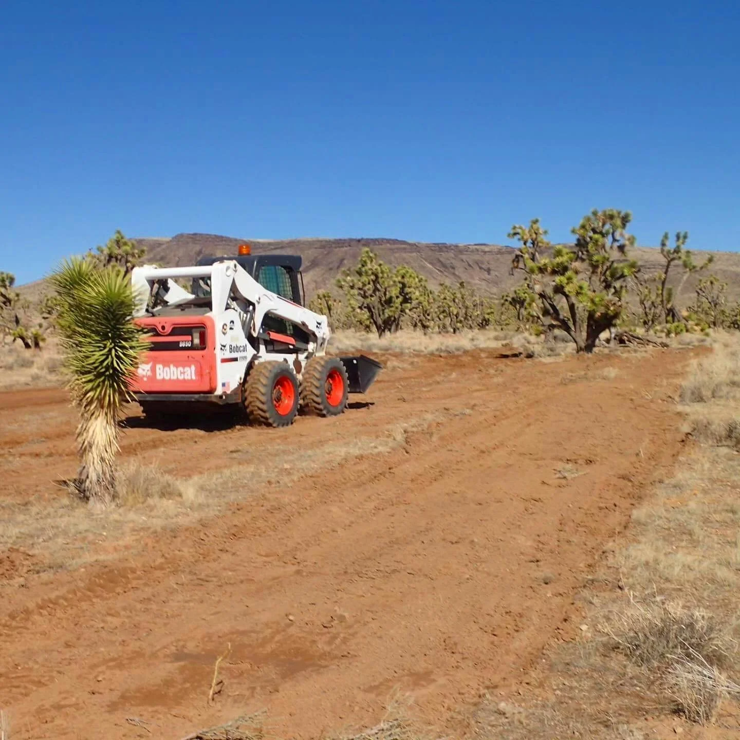 A Bobcat skid-steer loader operating on a dirt trail in a desert landscape with Joshua trees and a mountain in the background under a clear blue sky.