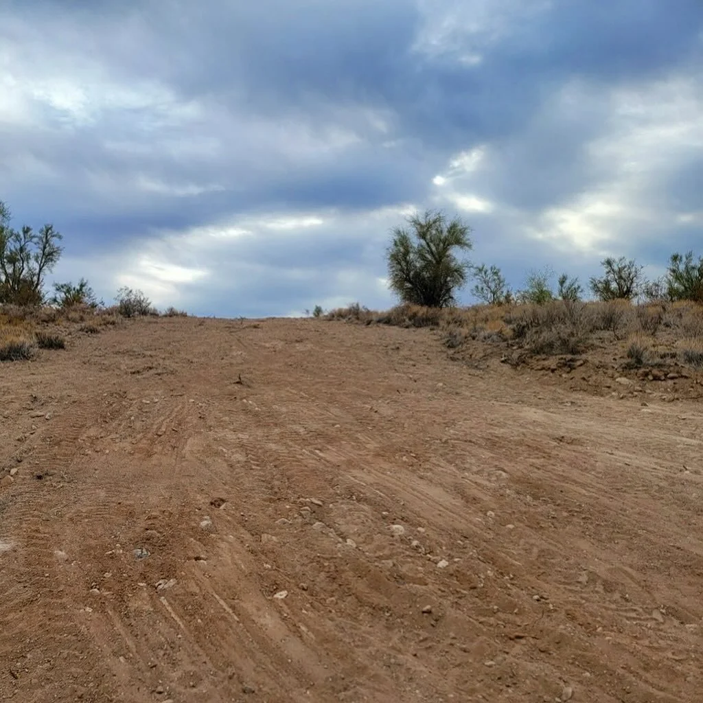 Dirt road in a desert landscape with sparse bushes and a few trees, under a cloudy sky.