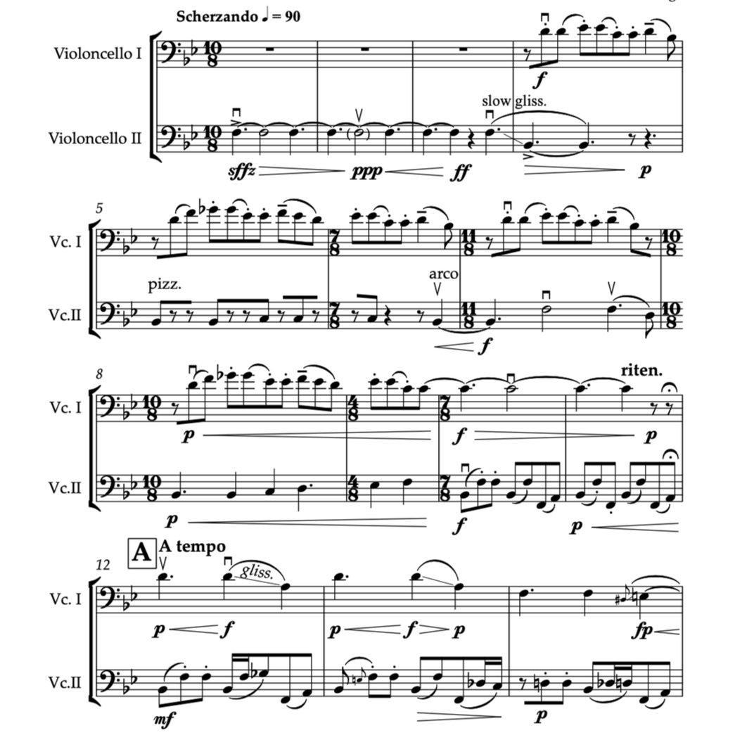 Humorous - cello duo