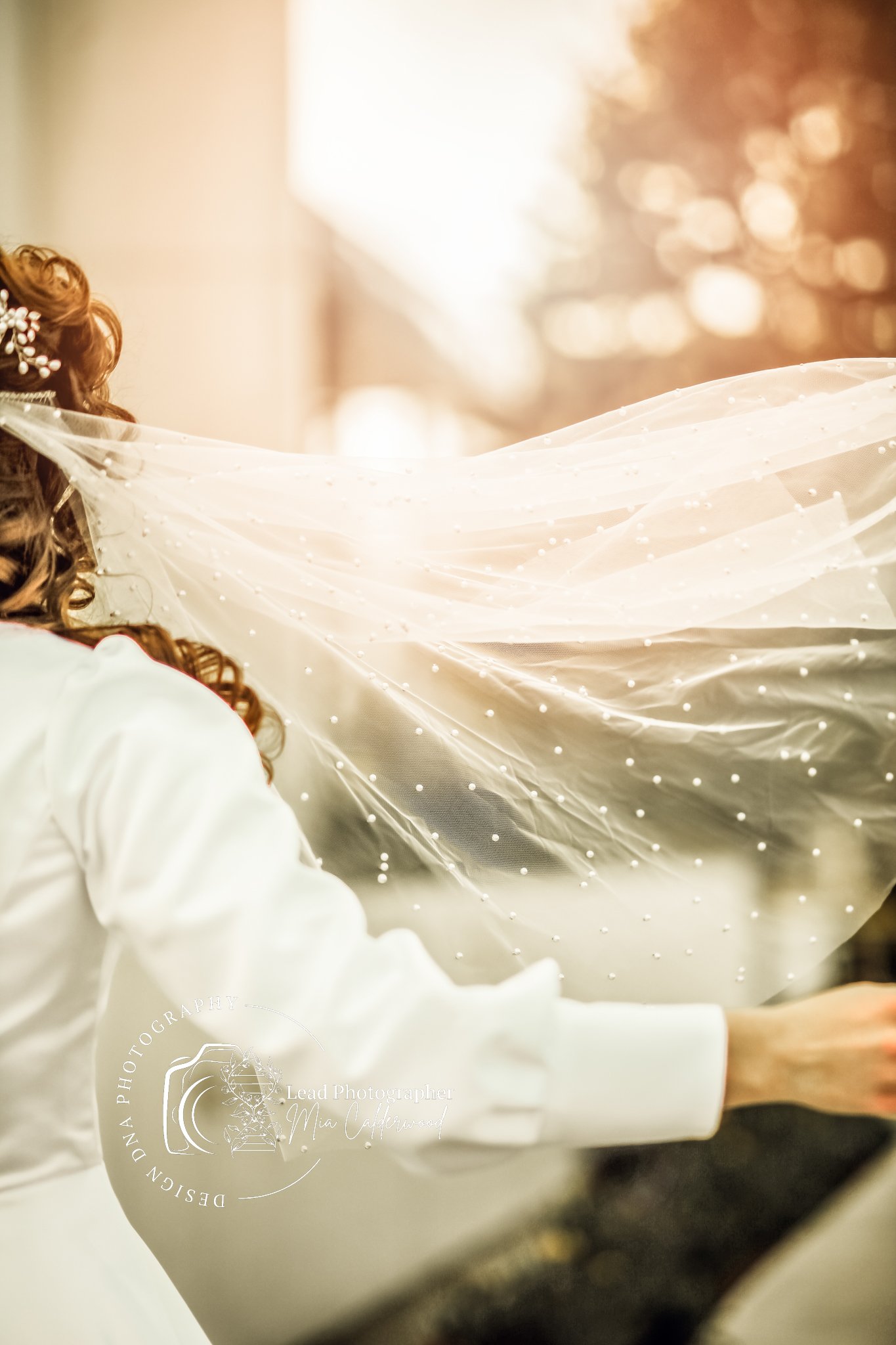 IMG_4141-Edit.jpg