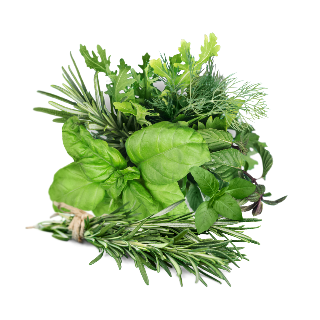 Day 9: HERBS