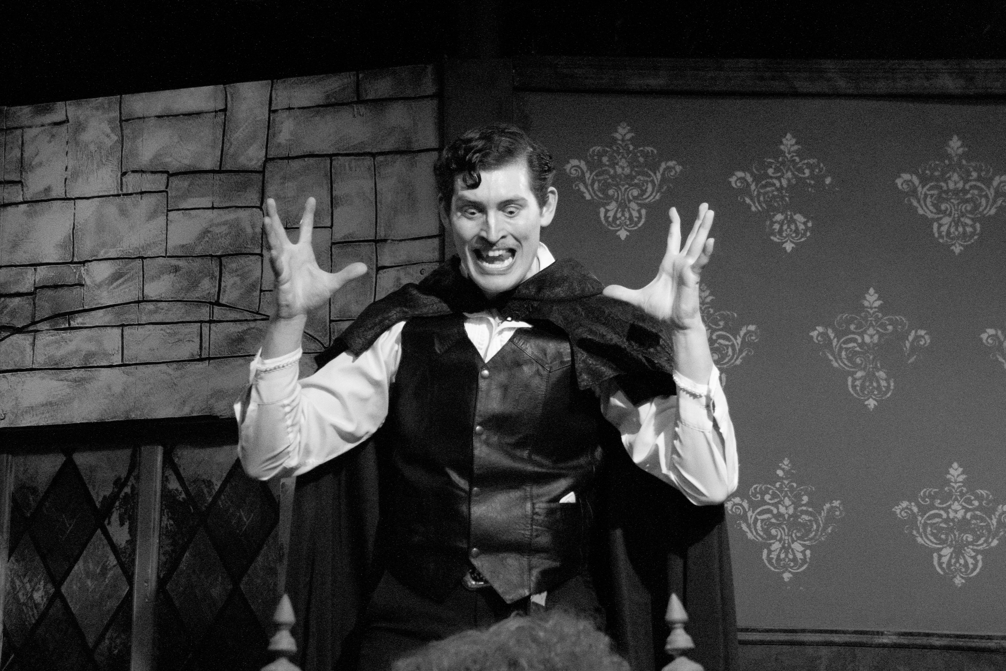 dracula: a comedy of terrors