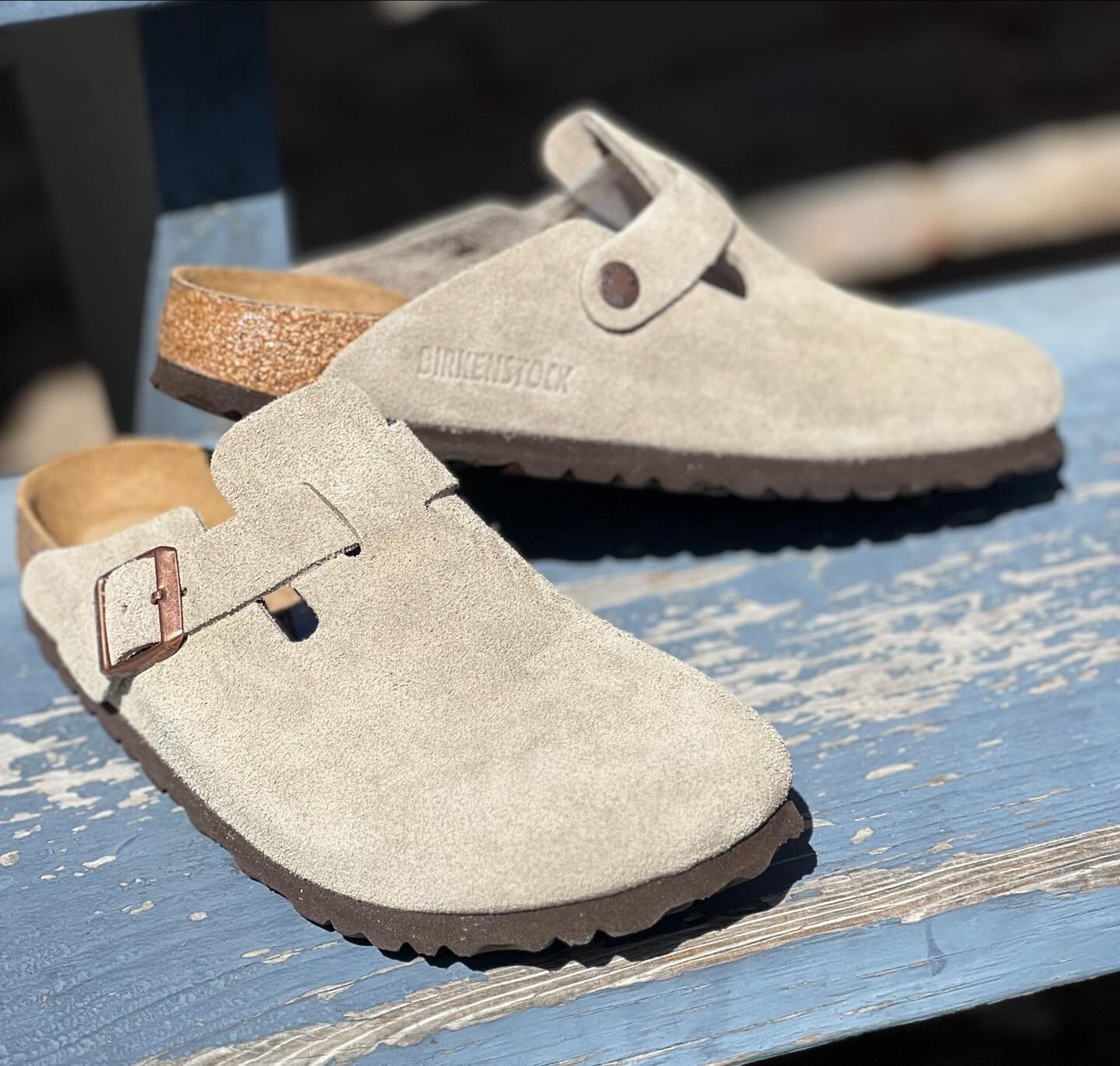 Hi. It&rsquo;s me, Boston. #ithaca #ithacany #cornell #cornelluniversity #ithacacollege #fingerlakes #shoplocal #shopsmall #birkenstock #sincebeforeyouwereborn