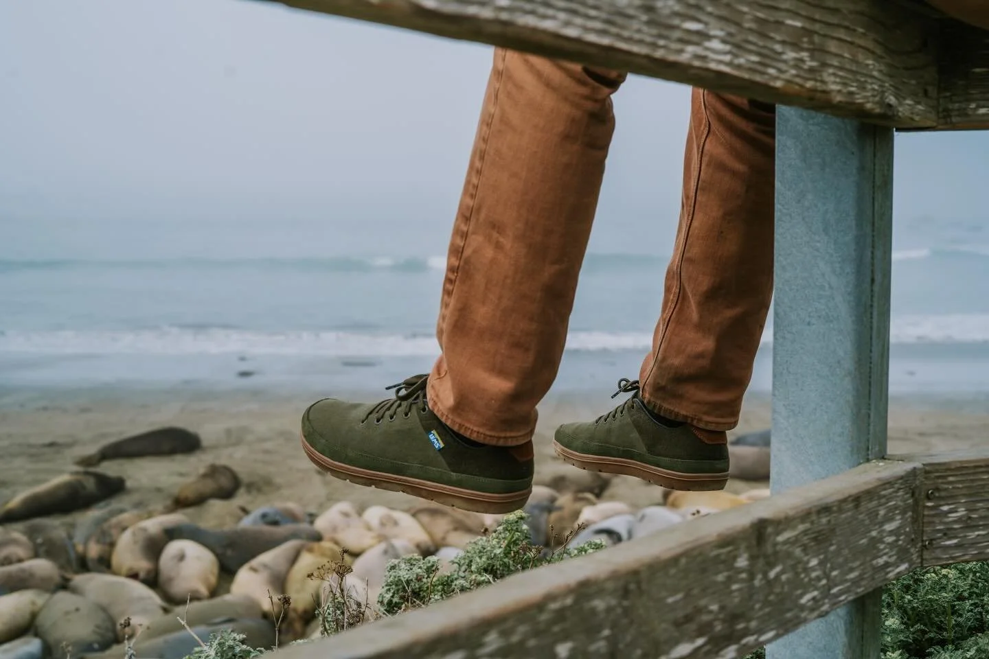 Chillum - Wide toe box, big energy 💫