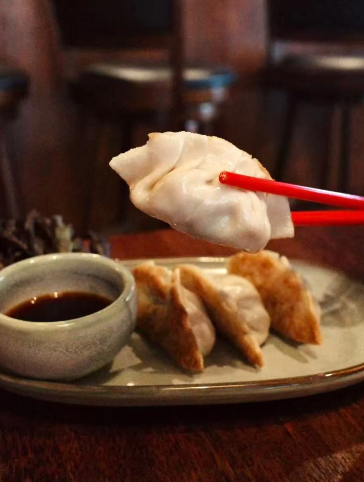 🥟🥟🥟

#chachabar #adelaide #southterrace