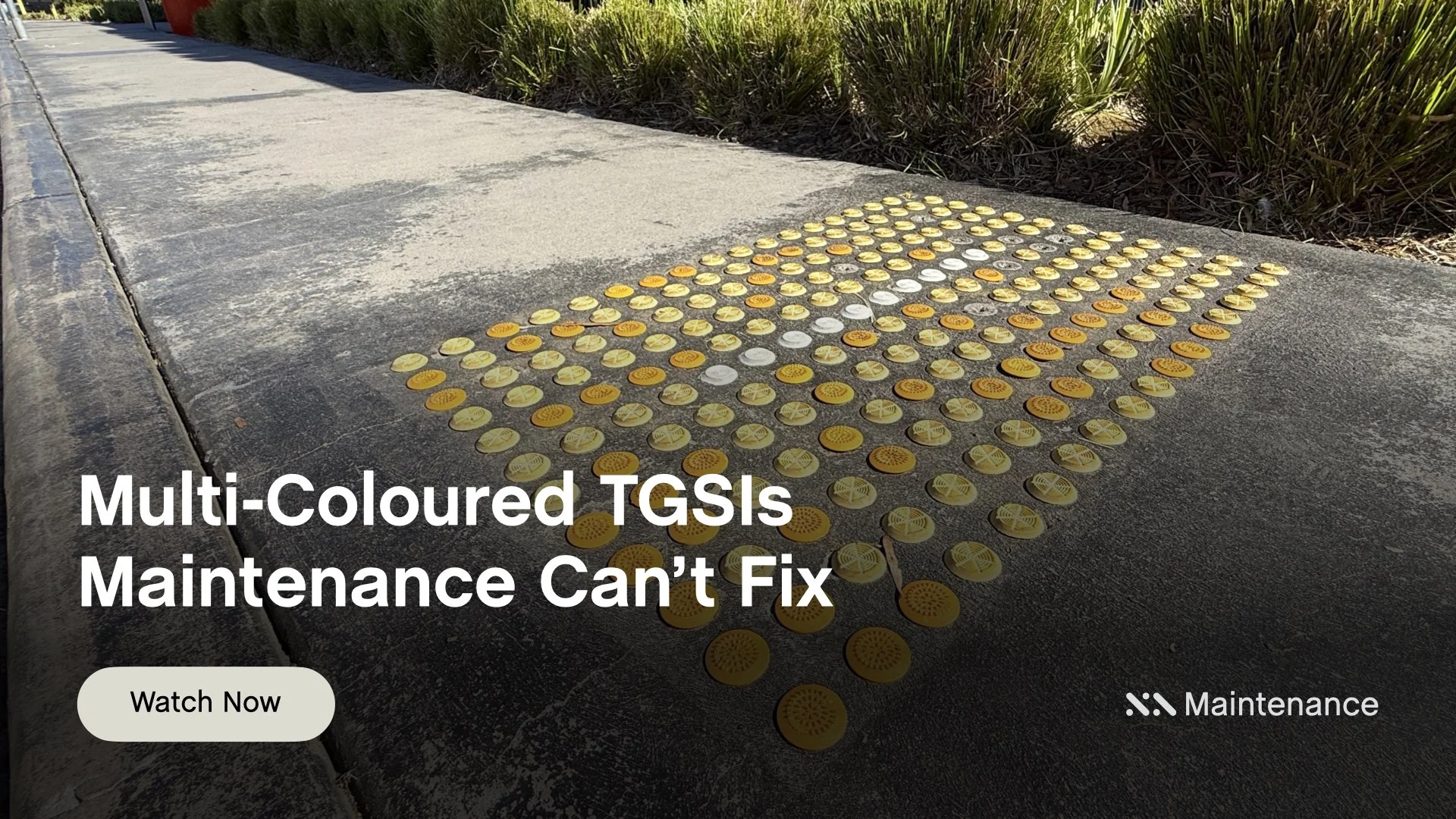 Multi-Coloured TGSIs Maintenance Can't Fix