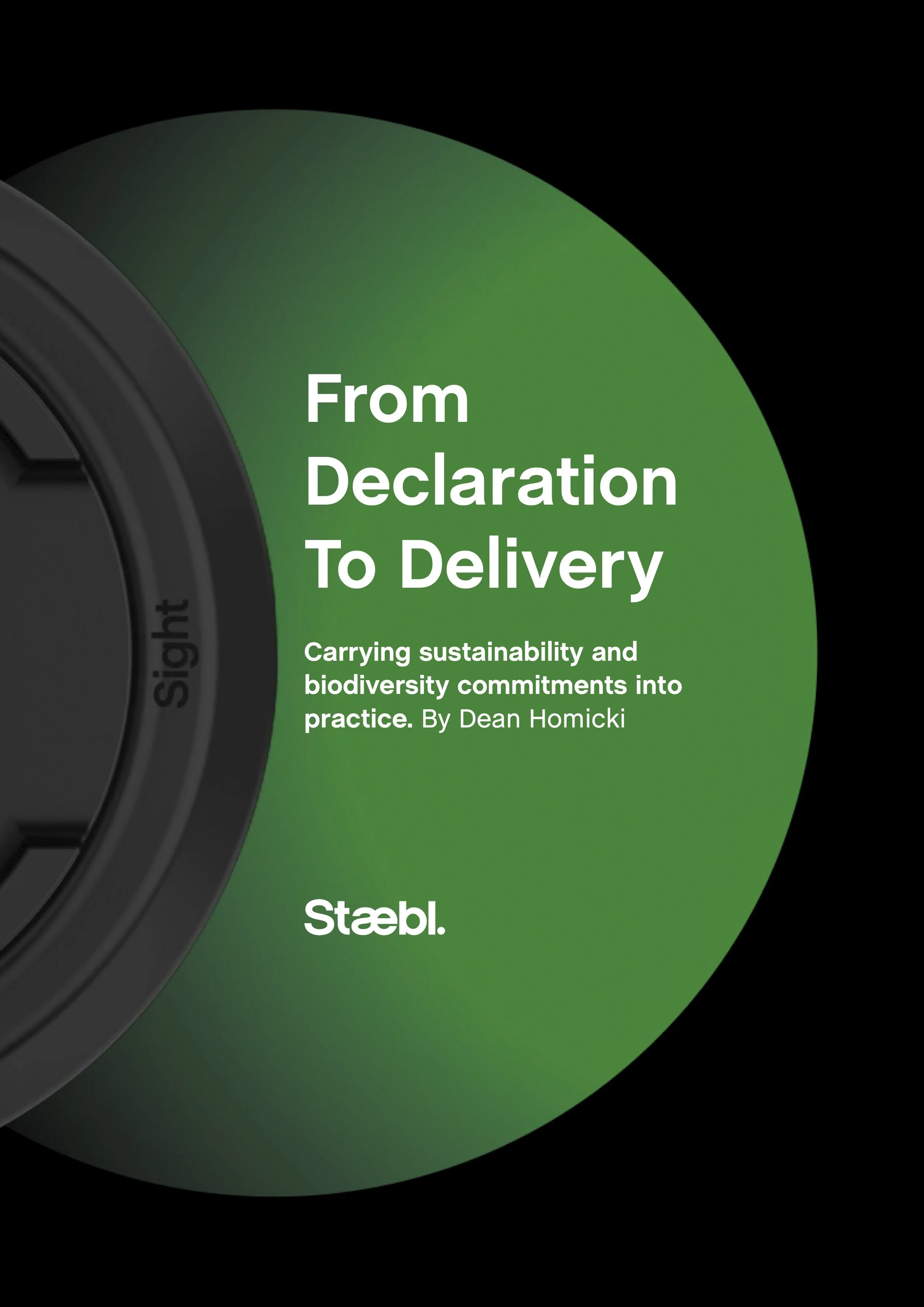 Front Cover of Staebl's From Declaration To Delivery - Carrying Sustainability and Biodiversity Commitments into Practice written by Dean Homicki
