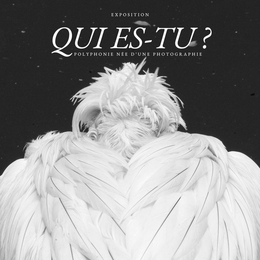 Le collectif “Qui es-tu ?” à De Main de Maître