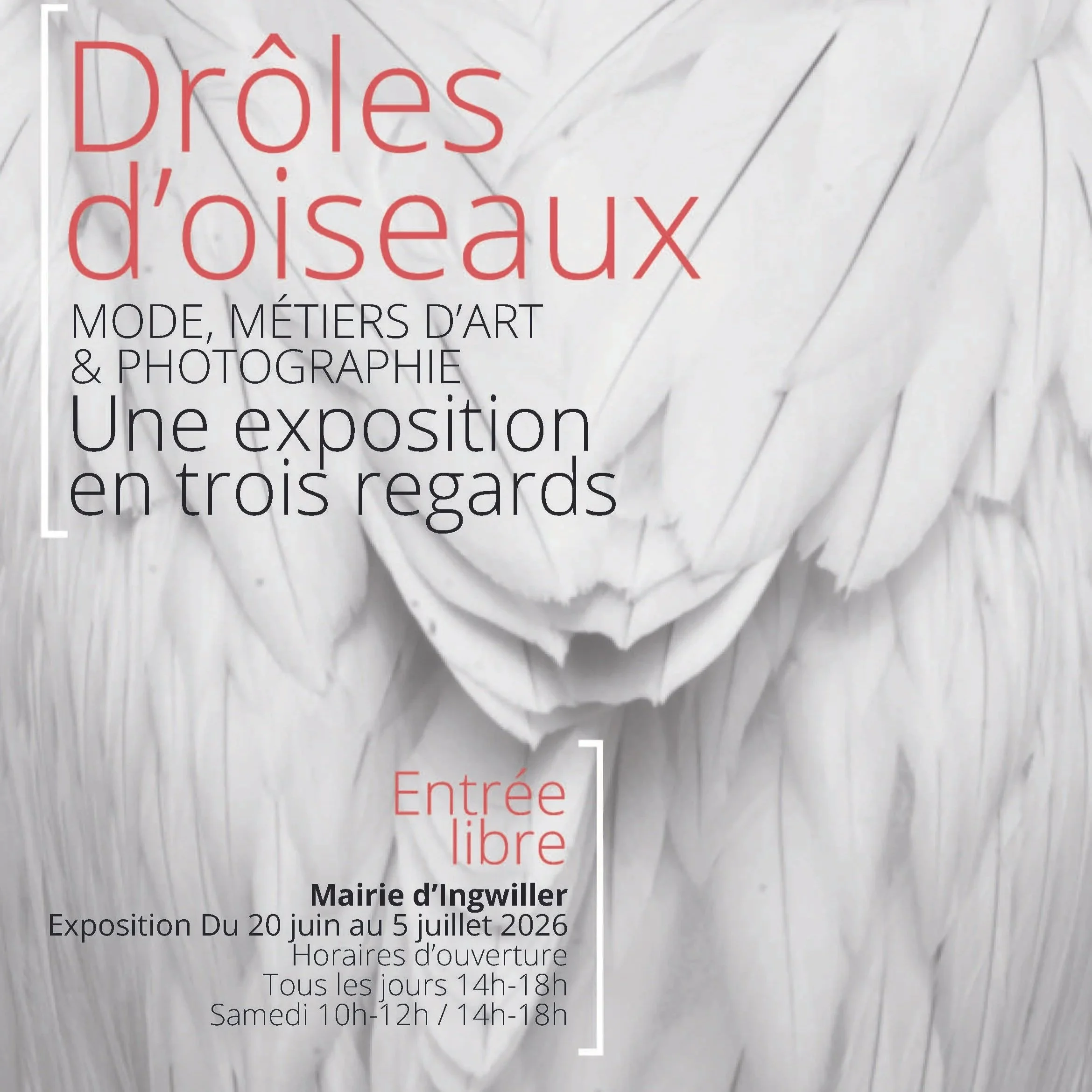 Funny Birds | June 20 – July 5, Ingwiller, Alsace