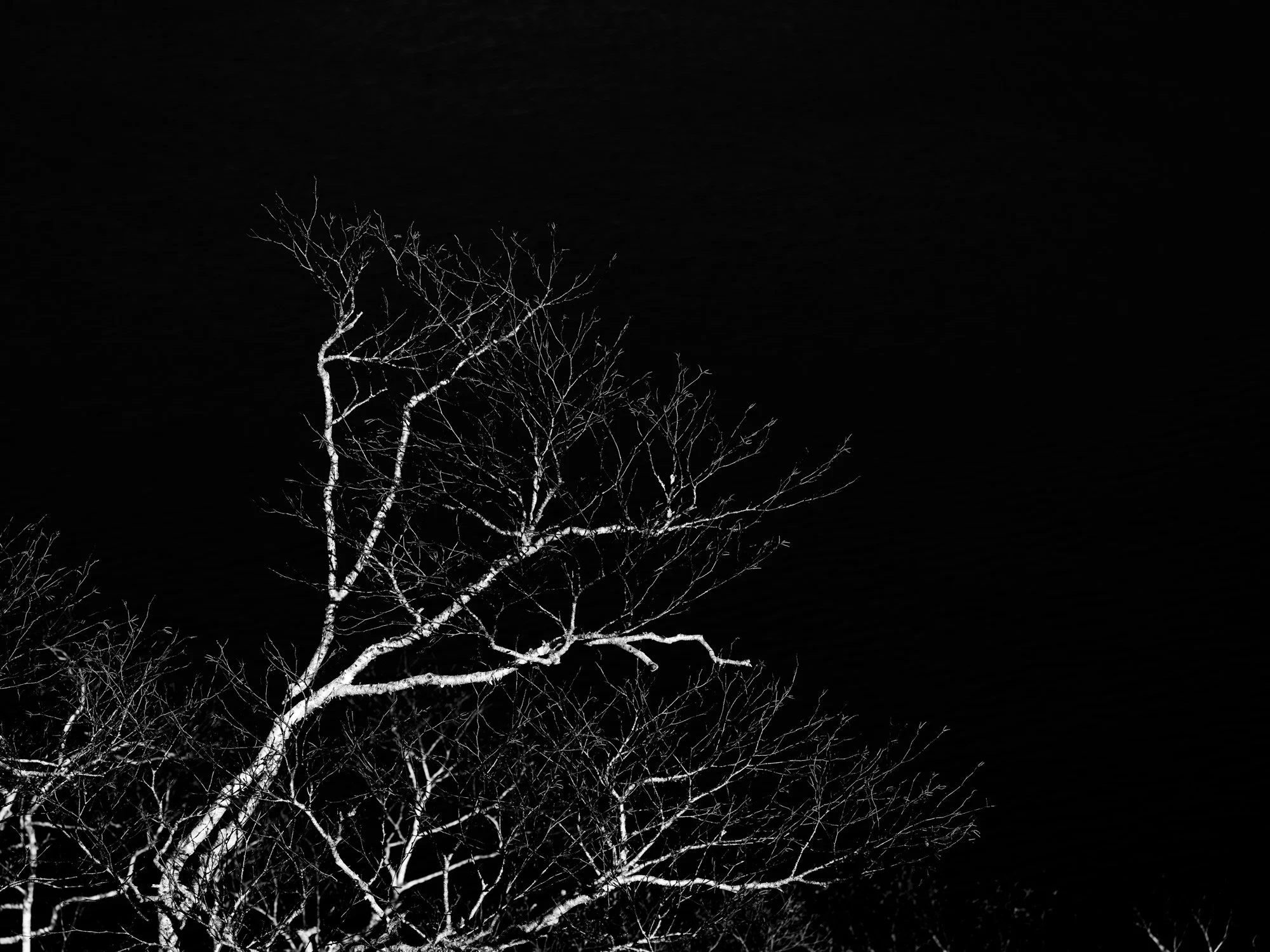 “Obscure Clarté” nominée au Prix du public | reFocus Award 2026