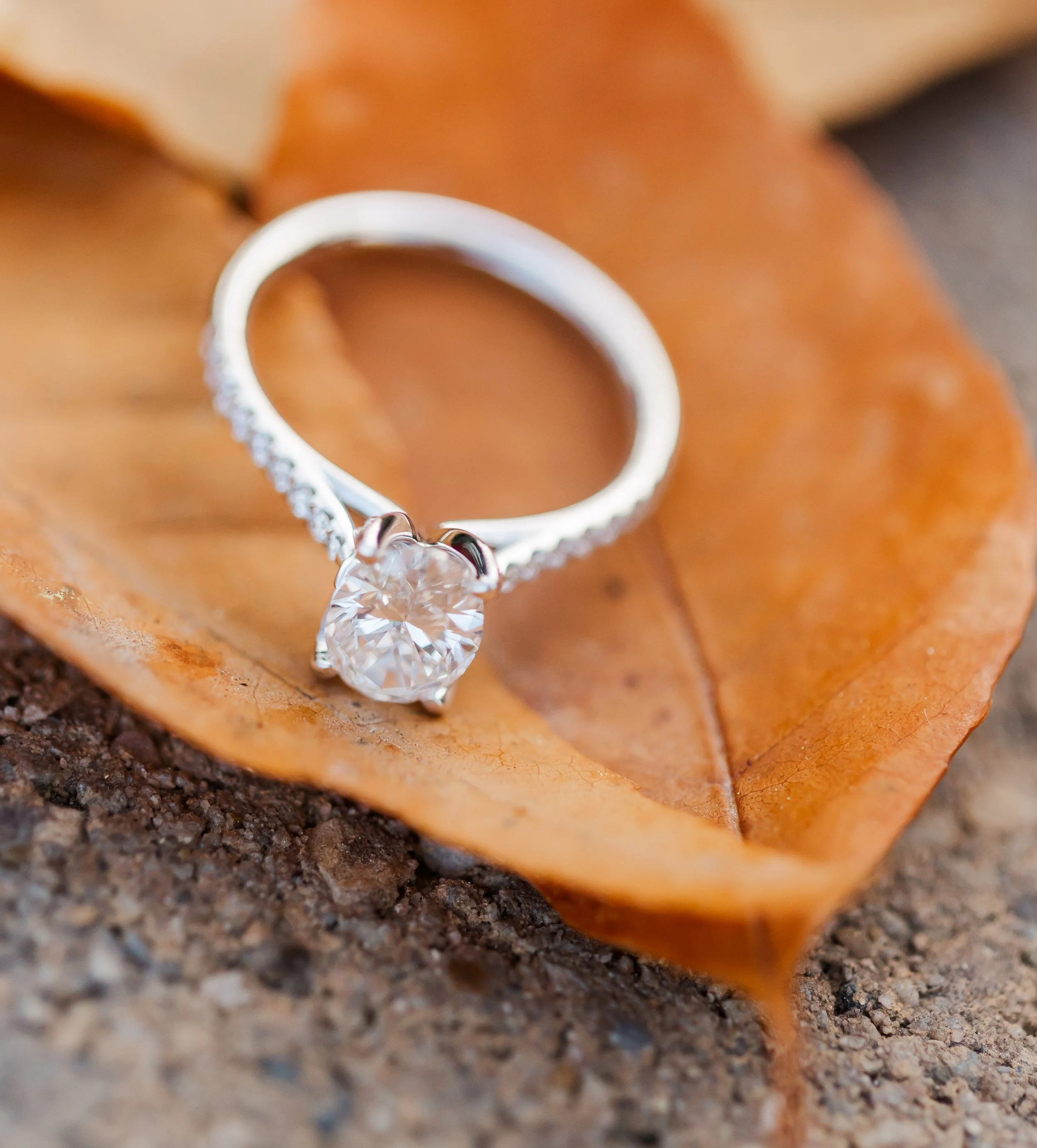 Boise-Engagement-Photographer131.jpg