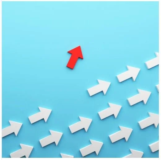 Driving Success Through Change Management
