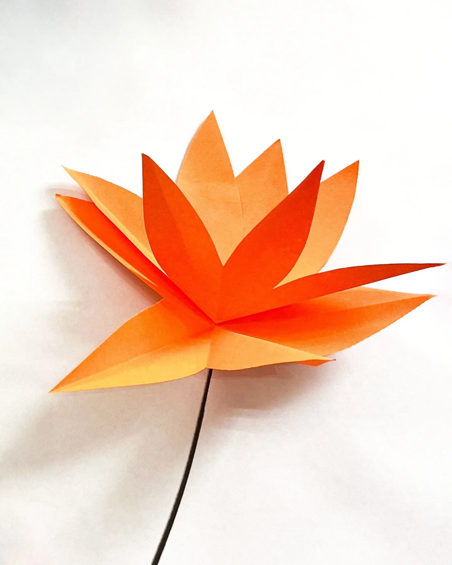 C'&eacute;tait un atelier avec des adultes &agrave; l'h&ocirc;pital Tenon. J'invitais le personnel hospitalier et les usagers de la m&eacute;diath&egrave;que, pendant un court instant, &agrave; plier, d&eacute;couper et coller une fleur. 🌱 #aphp