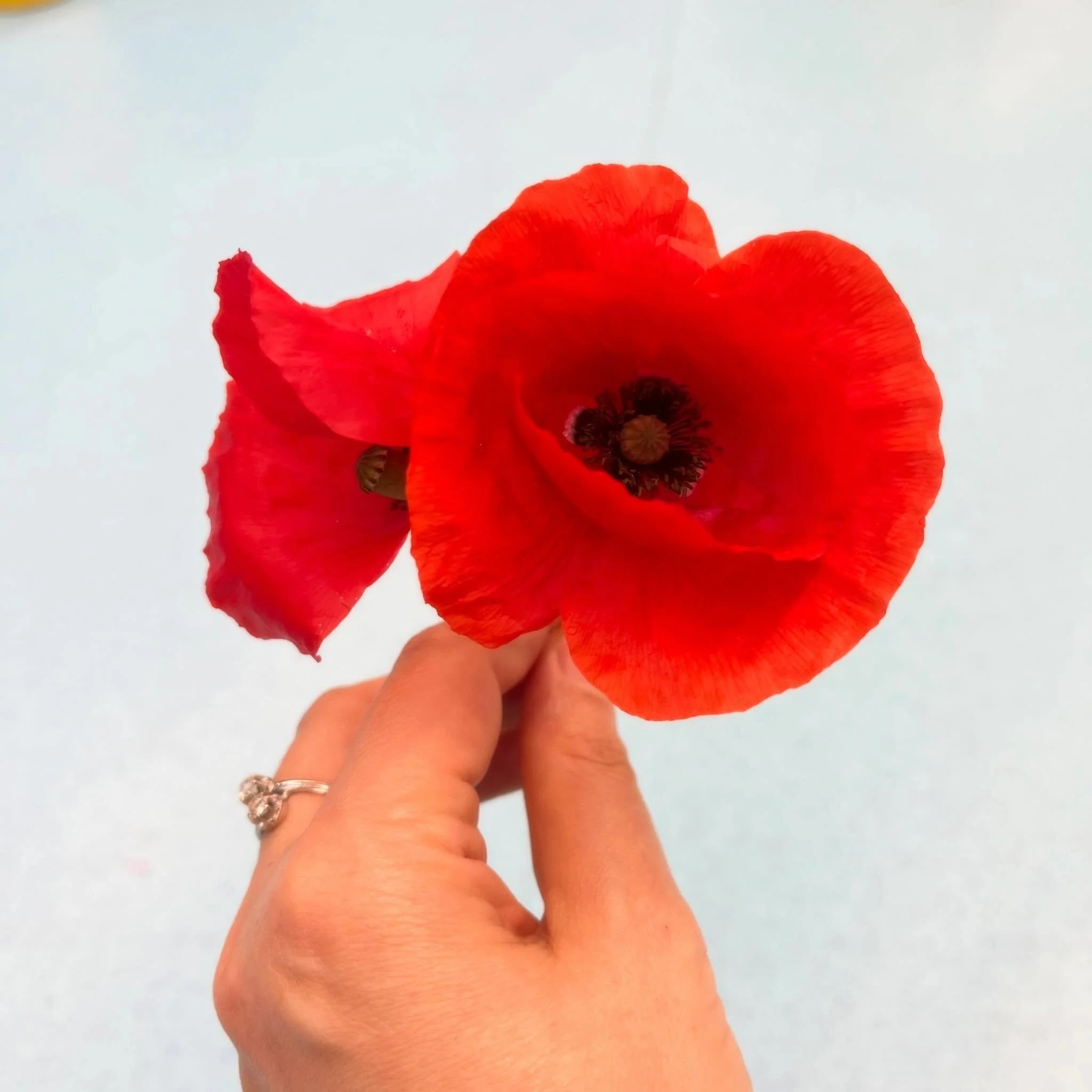 Petit cadeau des enfants de la maternelle du Chemin des Quatre Vents. J'y ai accept&eacute; un projet de r&eacute;sidence en partie parce que le nom de l'&eacute;cole me plaisait beaucoup. C'est &agrave; Conflans-Sainte-Honorine et nous cr&eacute;ons