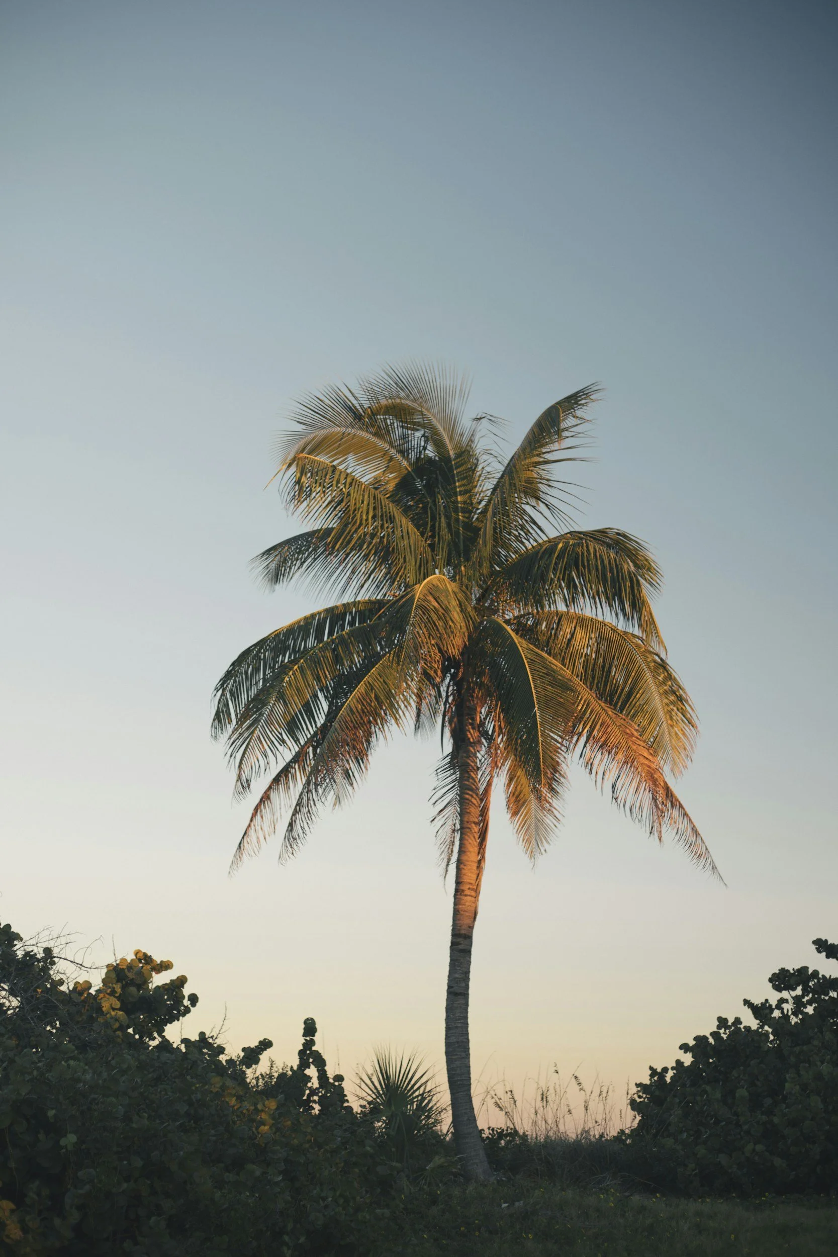 unsplash-image-1u0OPvvjiNQ.jpg