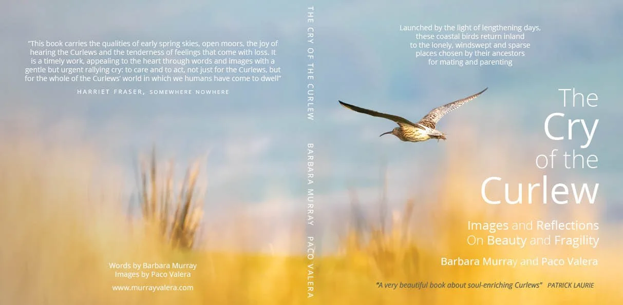 Curlew cover vFinal IMAGE.jpg