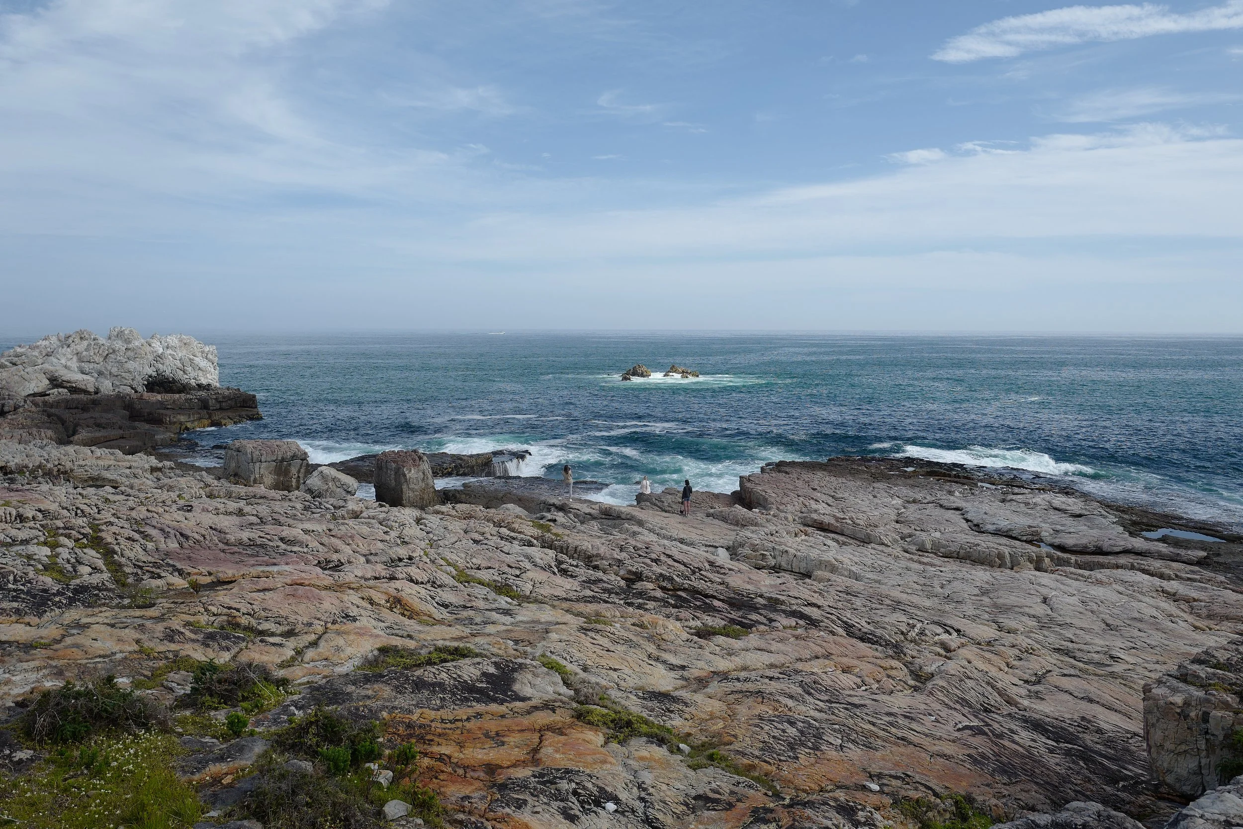 110_L1200397.JPG