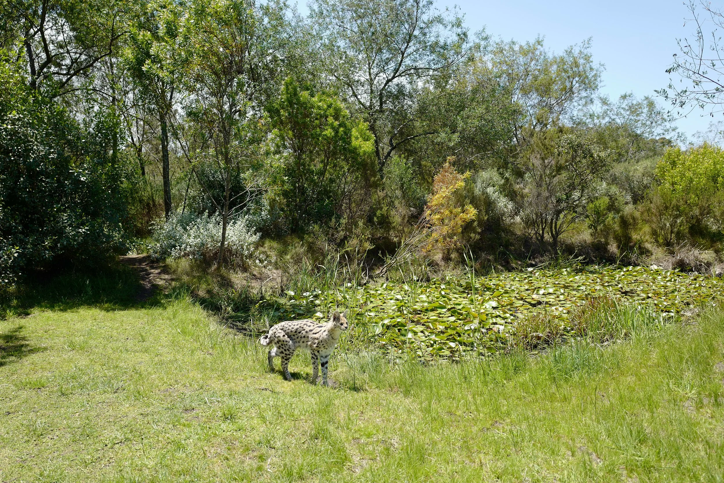 300_DO1190570.JPG