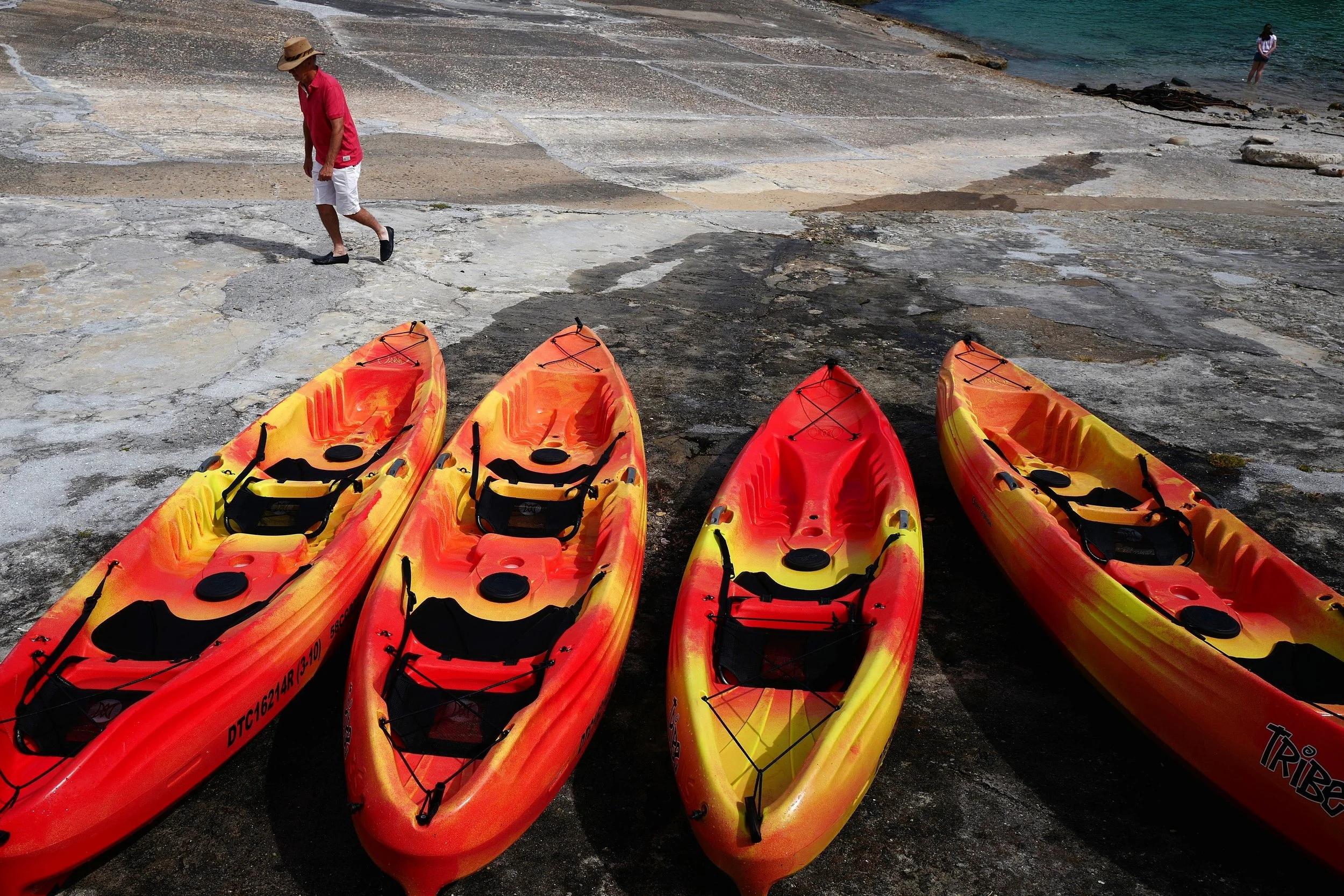 10_DO1200362_cut.JPG