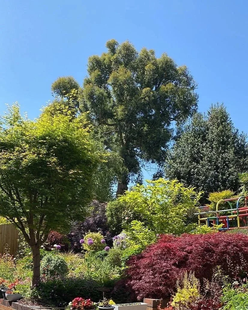 Blik op een tuin met diverse bomen, bloemen en een speeltoestel onder een blauwe hemel.