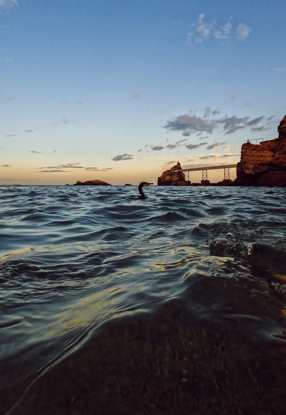 Le cormoran Biarritz.JPG