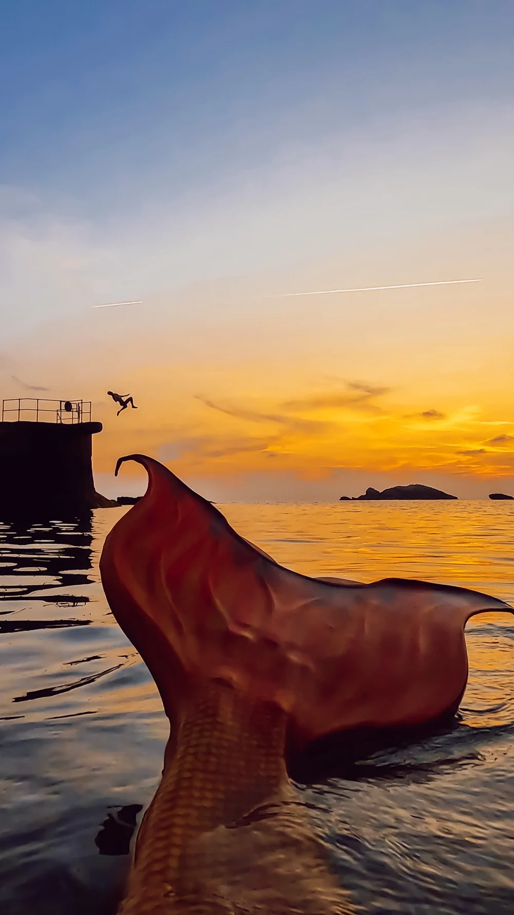 Sirène plongeoir.JPG