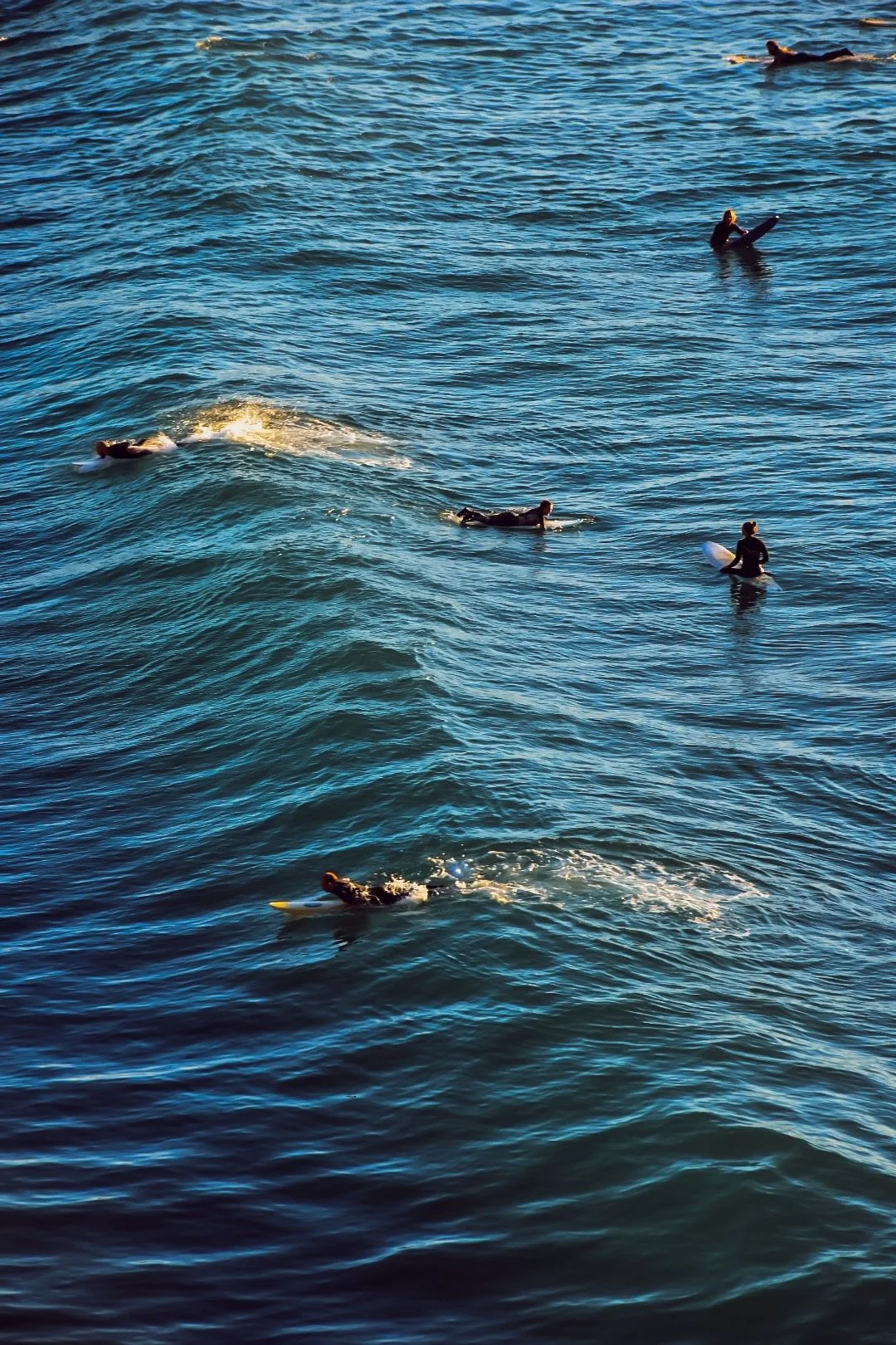 Des surfeurs dans l'océan, attendant des vagues, vêtus de combinaisons de plongée noires.