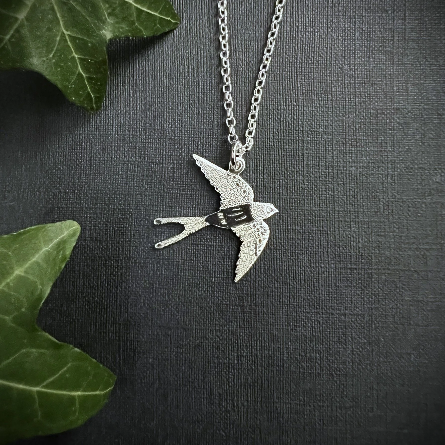 SWALLOW GLIDING 1.JPEG