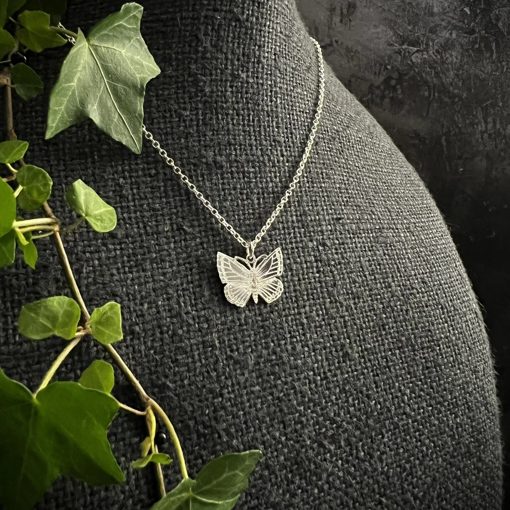 CHALKHILL BLUE BUTTERFLY SMALL 1.JPEG