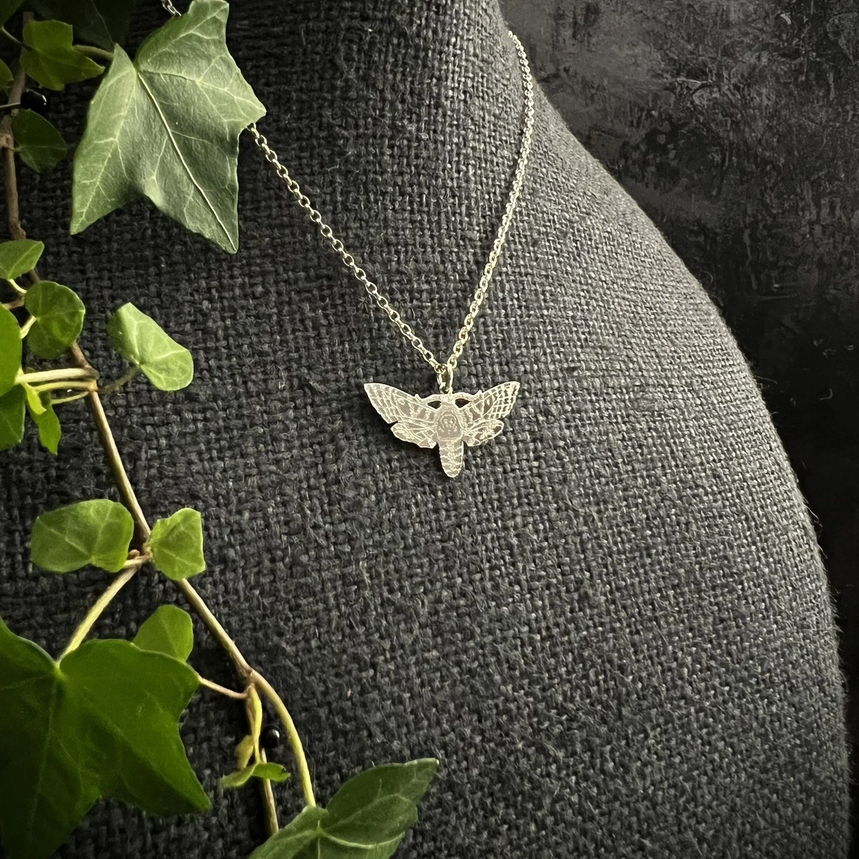 DEATH'S HEAD HAWKMOTH SMALL 1.JPEG