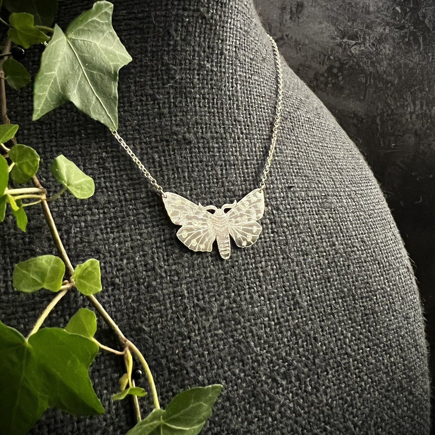 GARDEN TIGER MOTH LARGE 1.JPEG