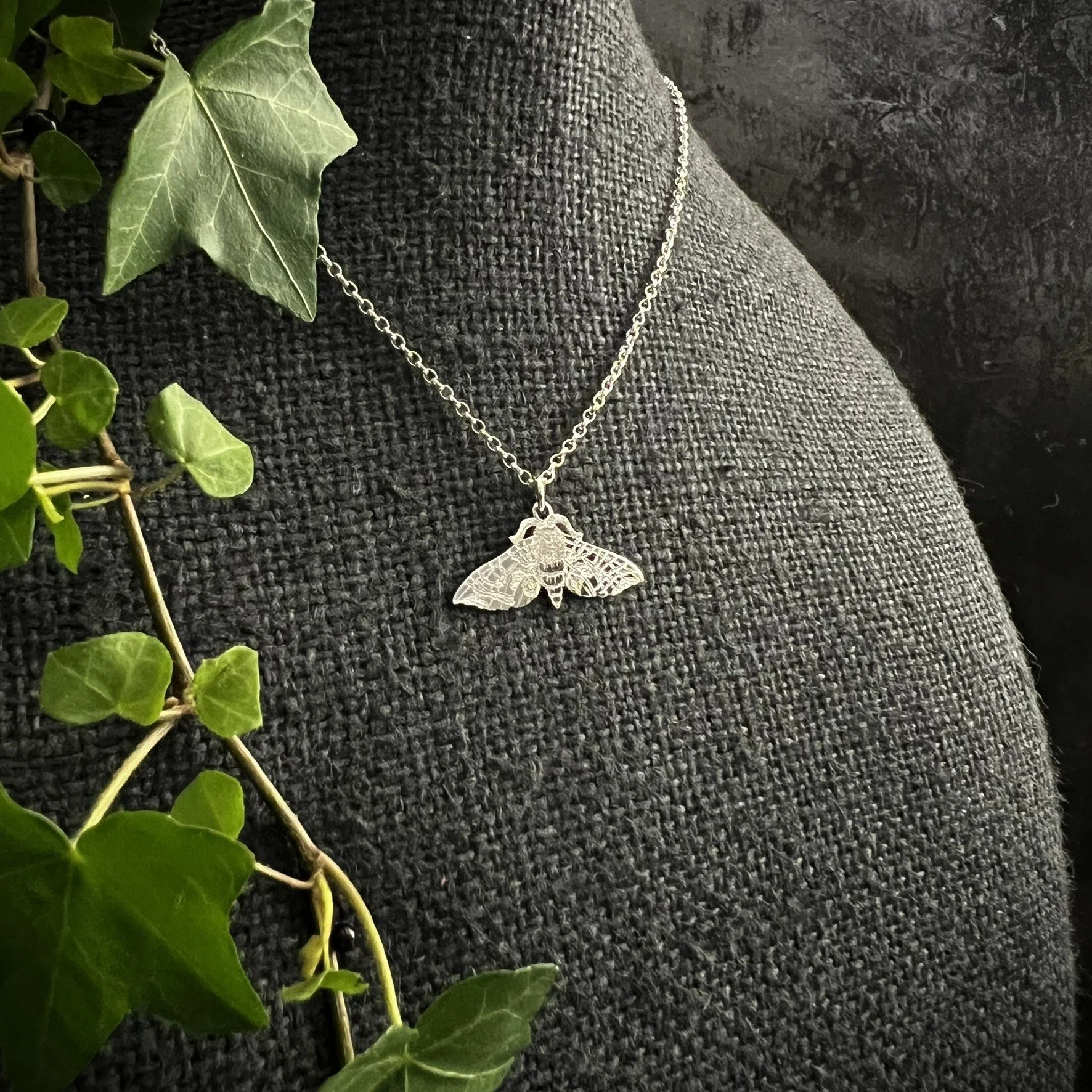 EYED HAWKMOTH SMALL 1.JPEG