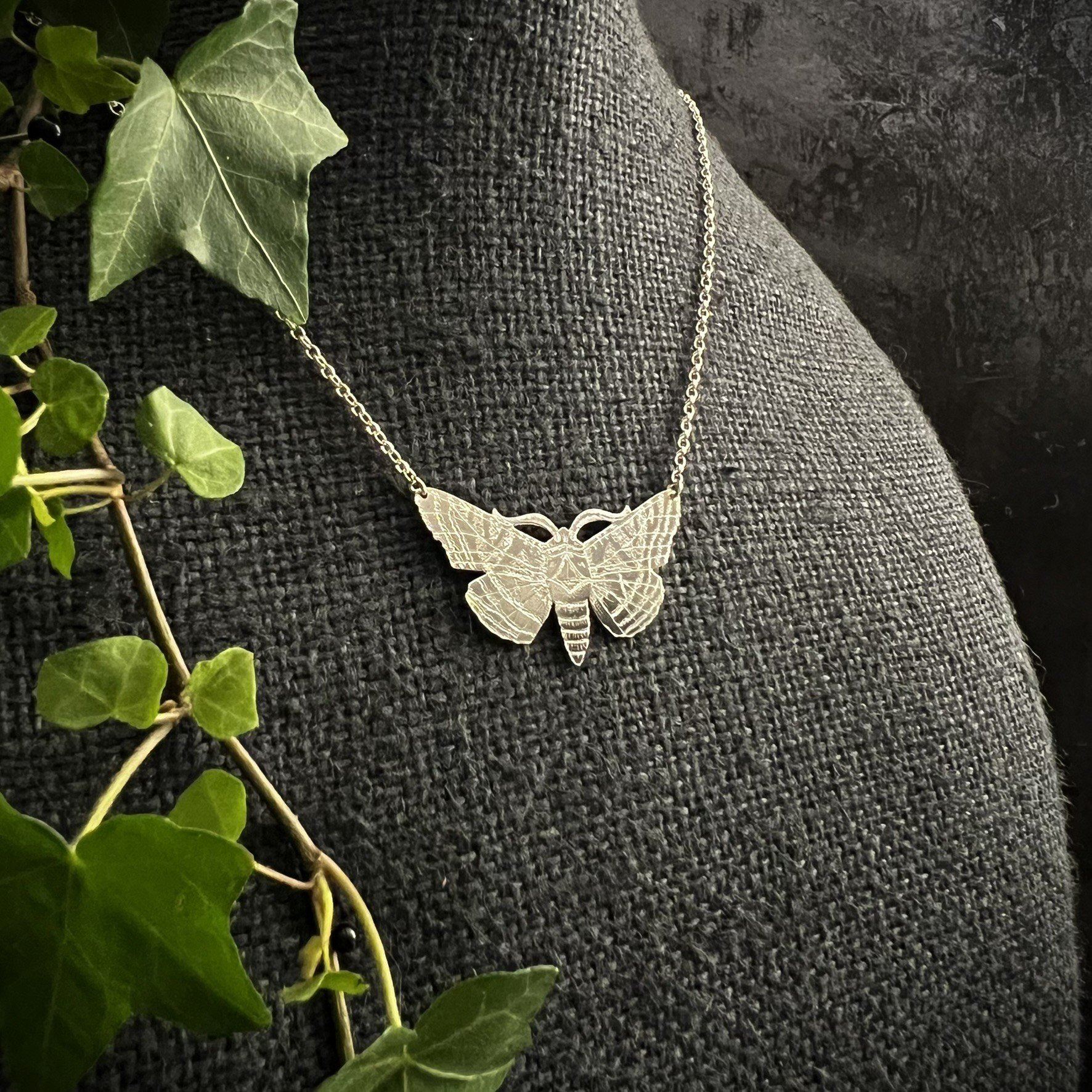 ANGLE SHADES MOTH LARGE 1.JPEG