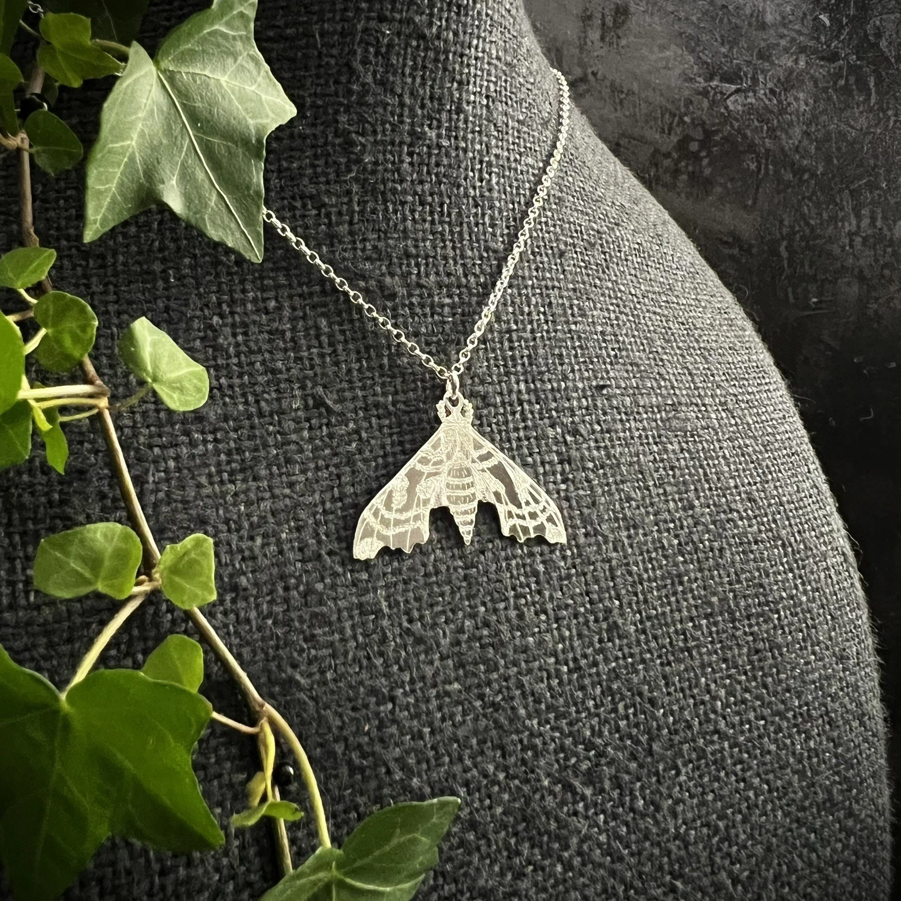 LIME HAWKMOTH LARGE 1.JPEG