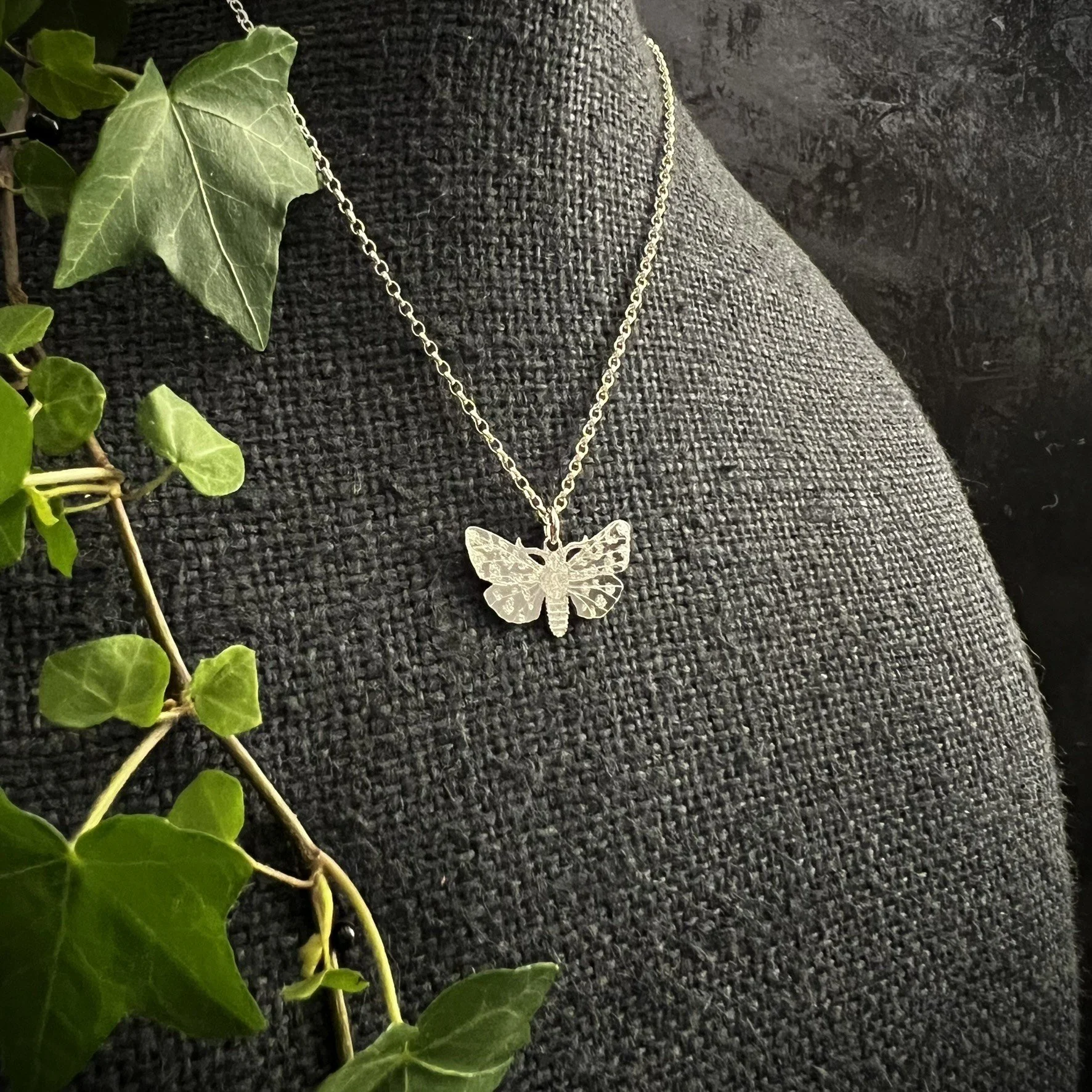 GARDEN TIGER MOTH SMALL 1.JPEG