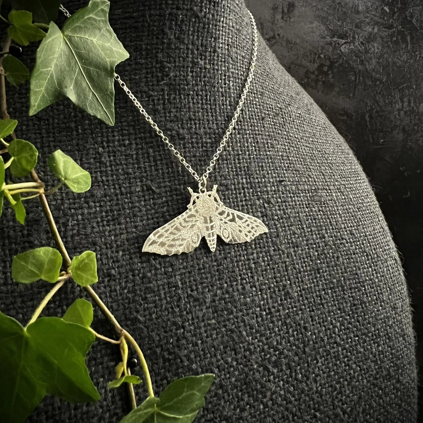 EYED HAWKMOTH LARGE 1.JPEG