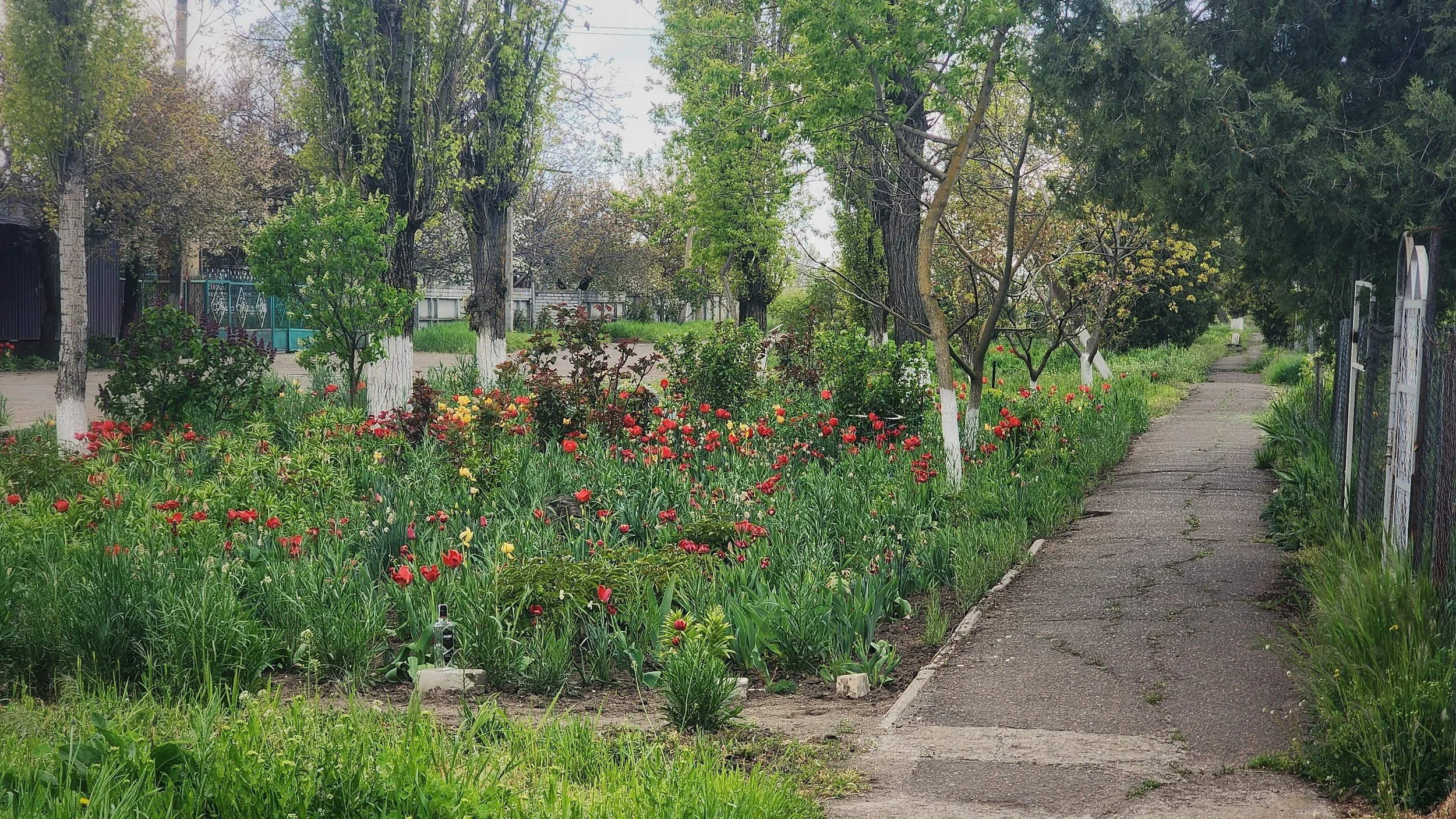 1000055775 (1).jpg