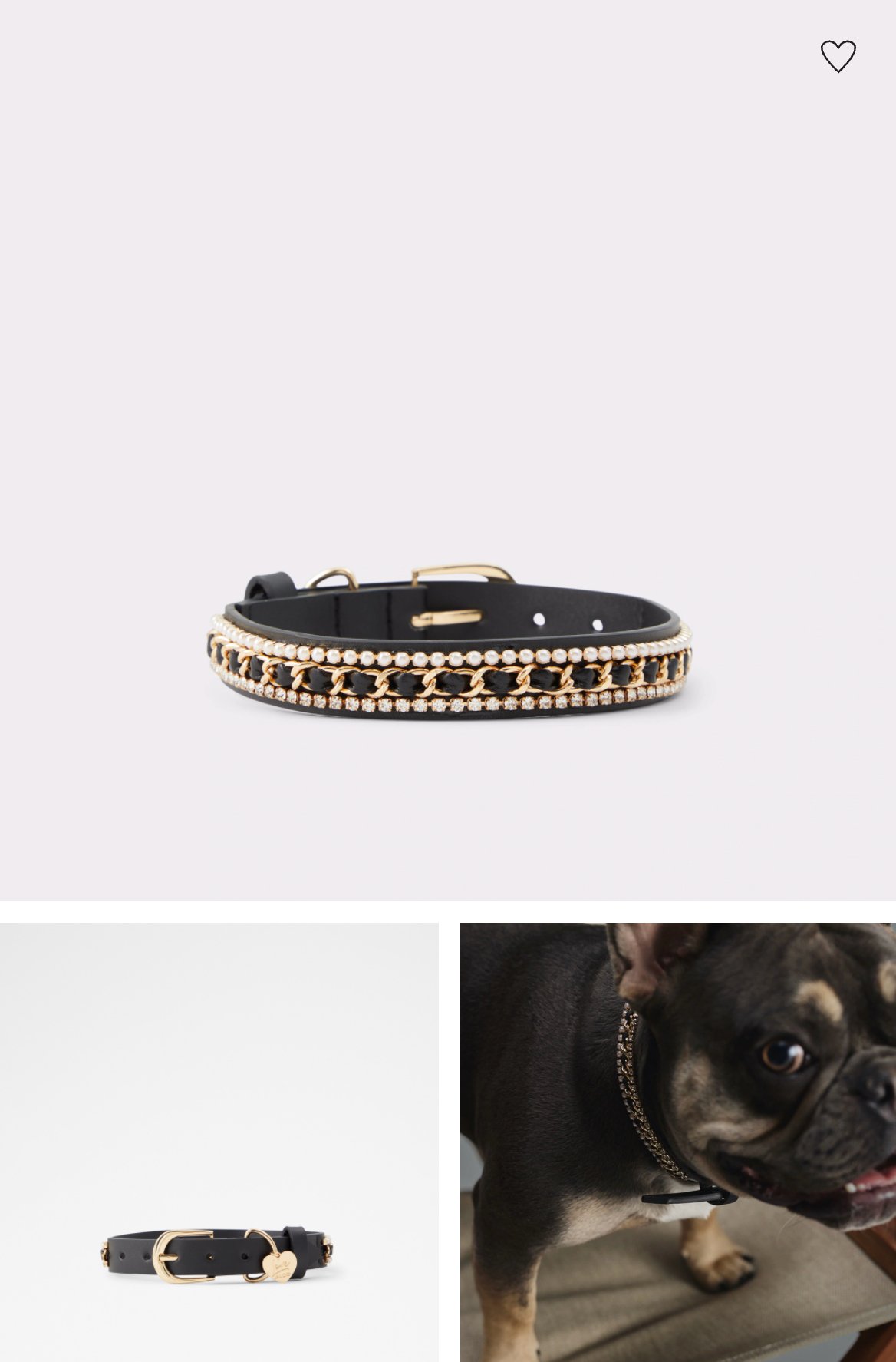 Aldo-6.jpg