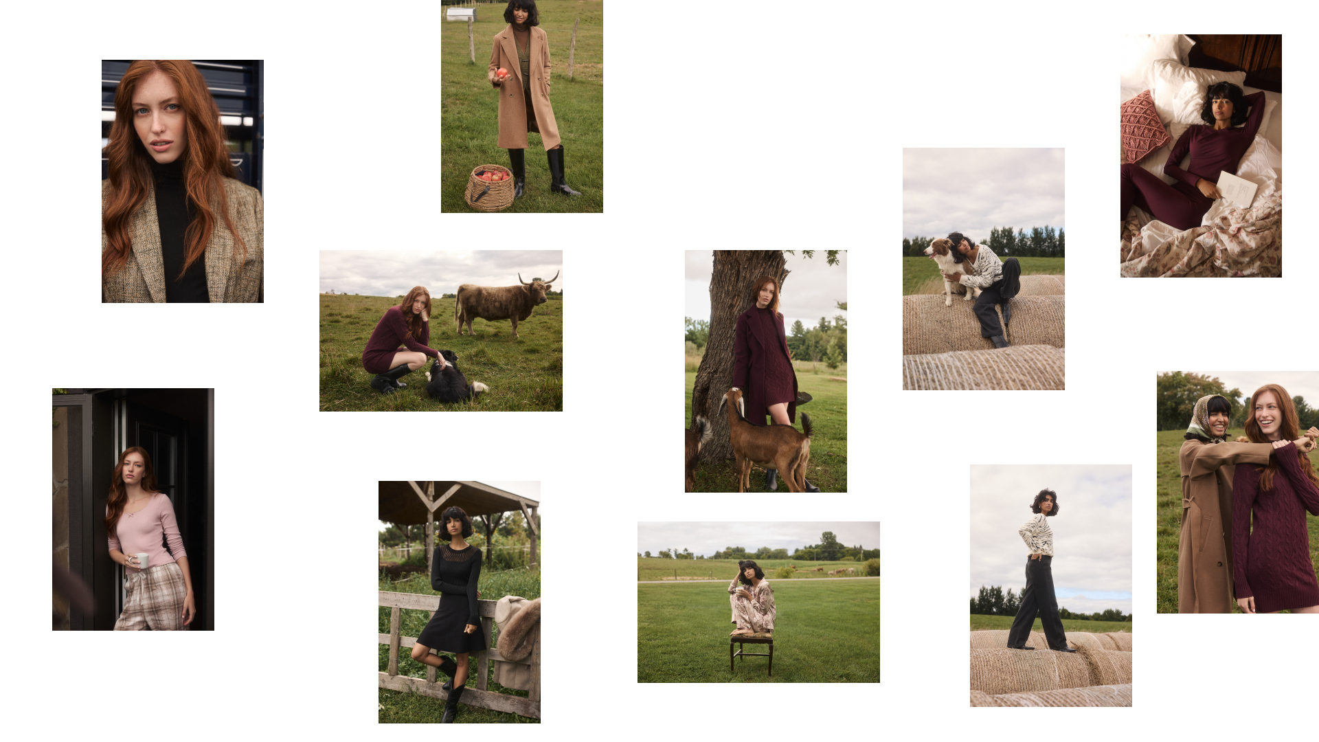 CURIOUS_SUZY260825_11.png