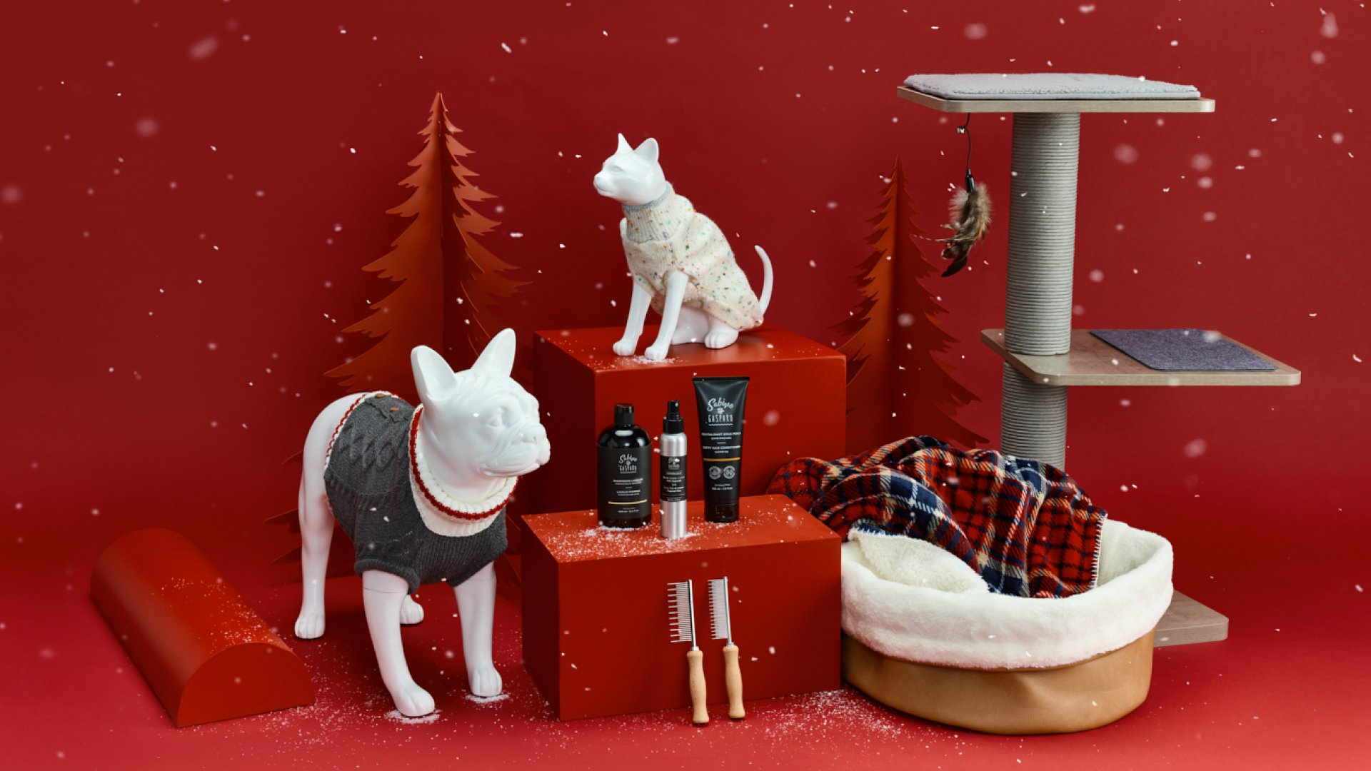 CURIOUS_MONDOU_NOEL2023_9.jpg