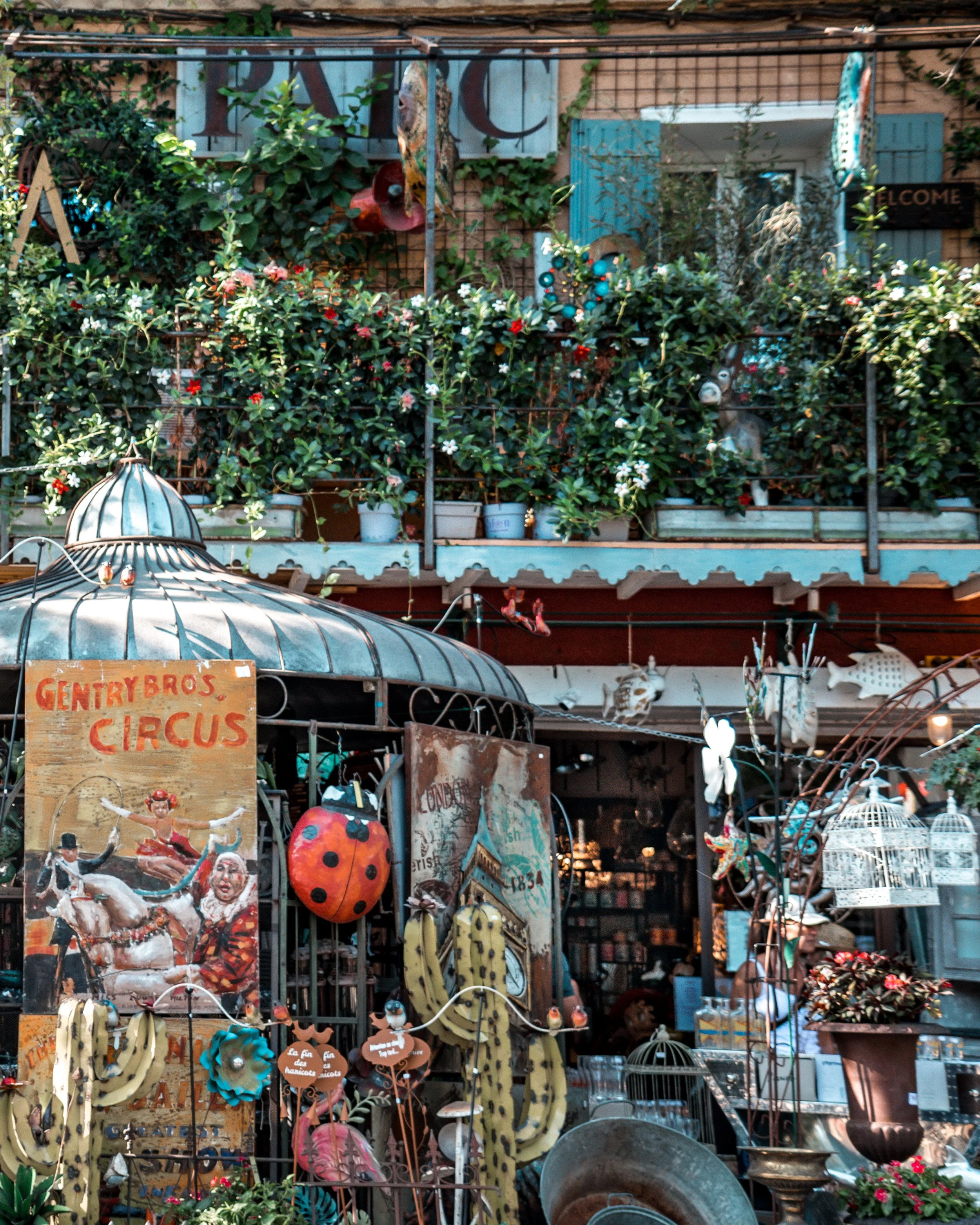 Outdoor scene of a colorful display at a shop, featuring vintage circus posters, decorative cacti, ceramic and metal animal figures, birdcages, and potted plants, with a gallery of floral and greenery in the background.