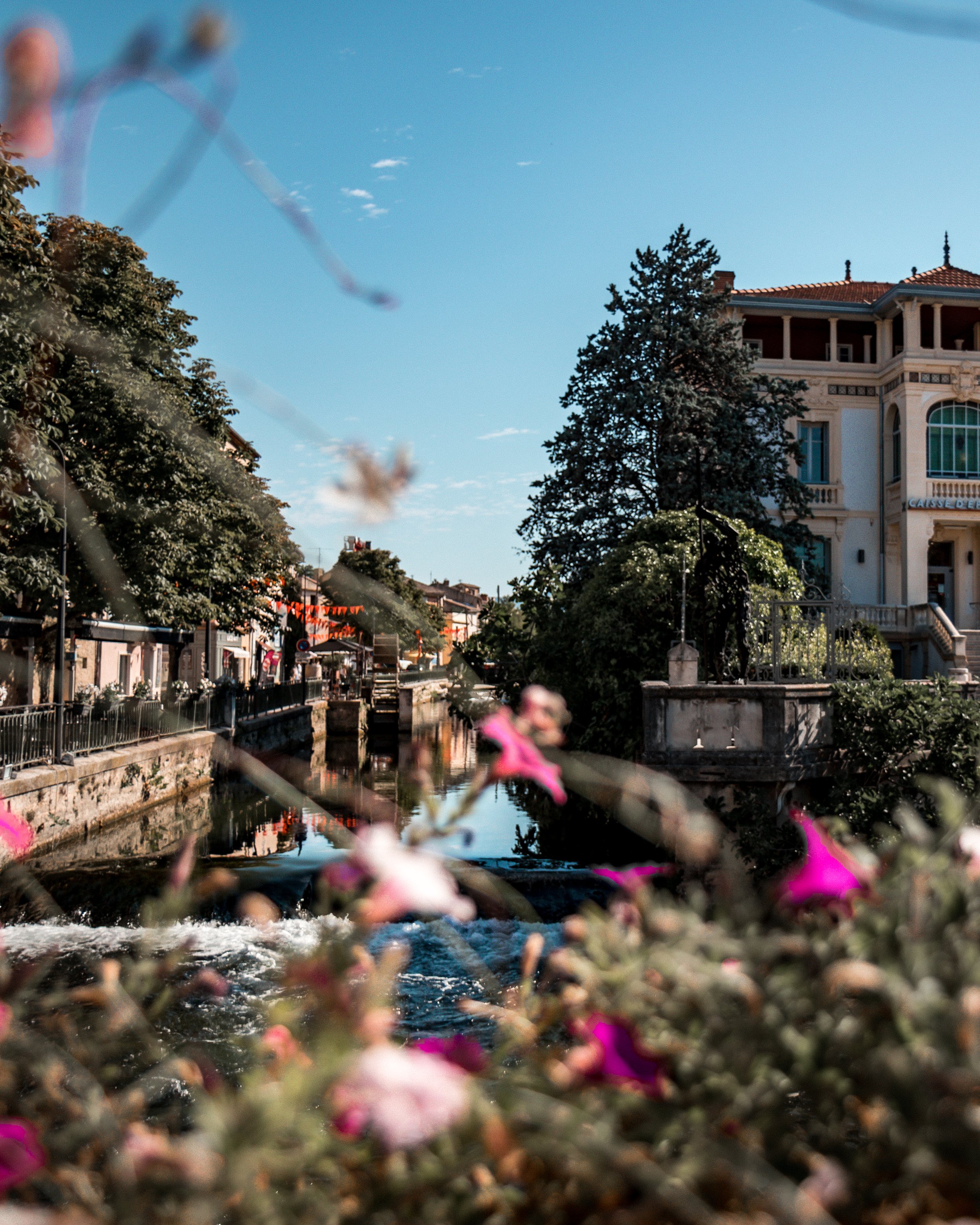 A picturesque view of a city canal with a building, trees, and a clear blue sky in the background, with pink flowers in the foreground.